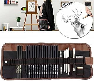 ToneGrip Conjunto de lápis de desenho e esboço com 29 peças, conjunto de arte profissional, inclui lápis de grafite, lápis de carvão, caneta apagável, fácil de transportar para adultos, crianças, artistas e adolescentes