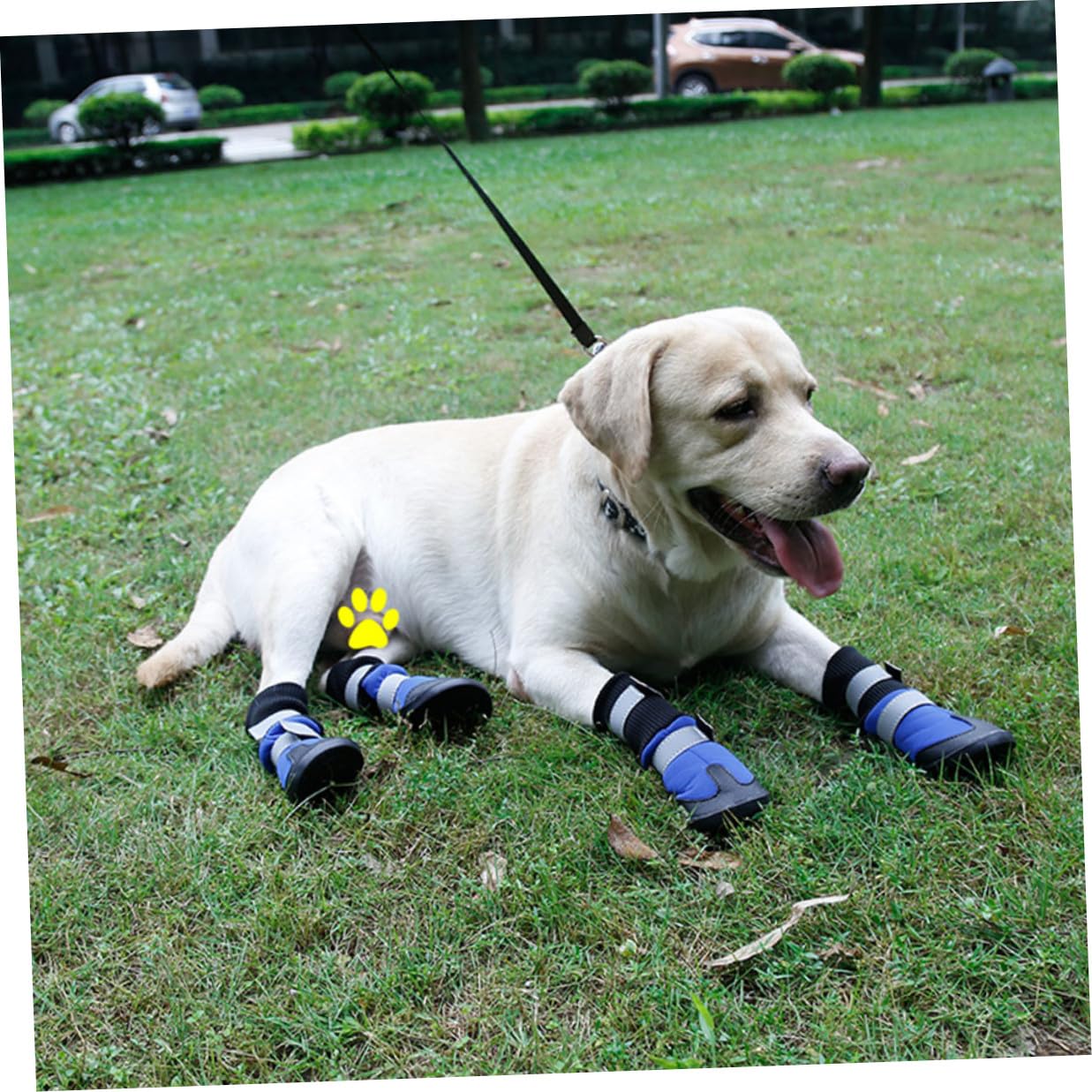 UPKOCH 4 Stück Hundeschneestiefel Warme Outdoor Pfotenstiefel für Mittlere und Große Hunde rutschfeste Winter Hundeschuhe mit Robustem Material und Schutzfunktion