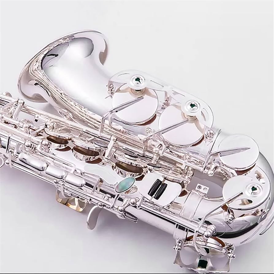 銀製サムフック　プラチナメッキ　サックス 特注品 earrs 61482BkHR5L._UF350,350_QL80_.jpg