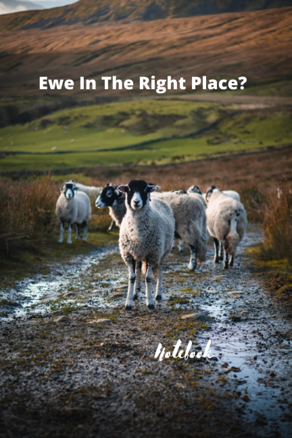 Ewe In The Right Place Farmers Notebook: A journal or diary for beginning farmers.