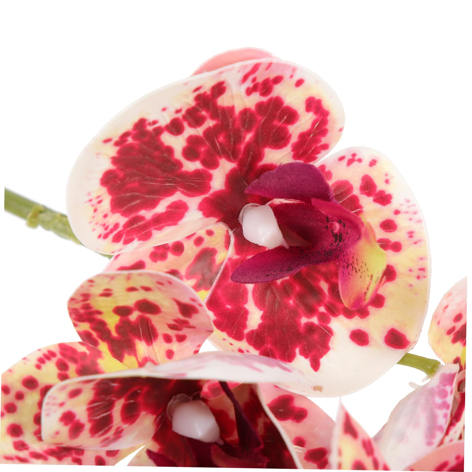 Angoily 4piezas Plantas Artificiales para Terrarios y Acuarios Decoración De Reptiles Accesorios para Tortugas y Lagartos Ornamentos Naturales Lifelike