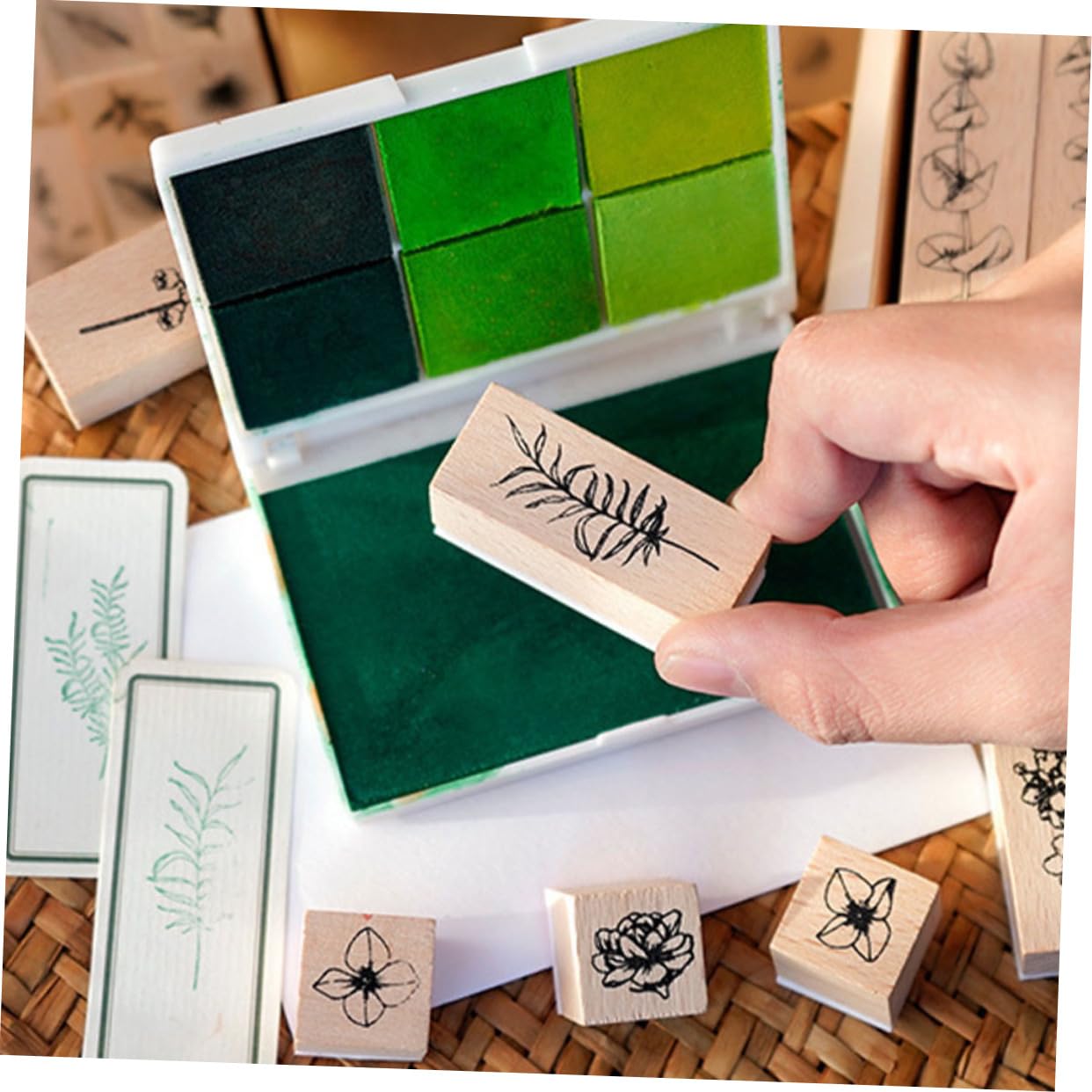 Homoyoyo 5 Ensembles Scrapbooking de Floraux Décoratifs Motifs de Plantes Matériau Robuste pour Bricolage Artisanales