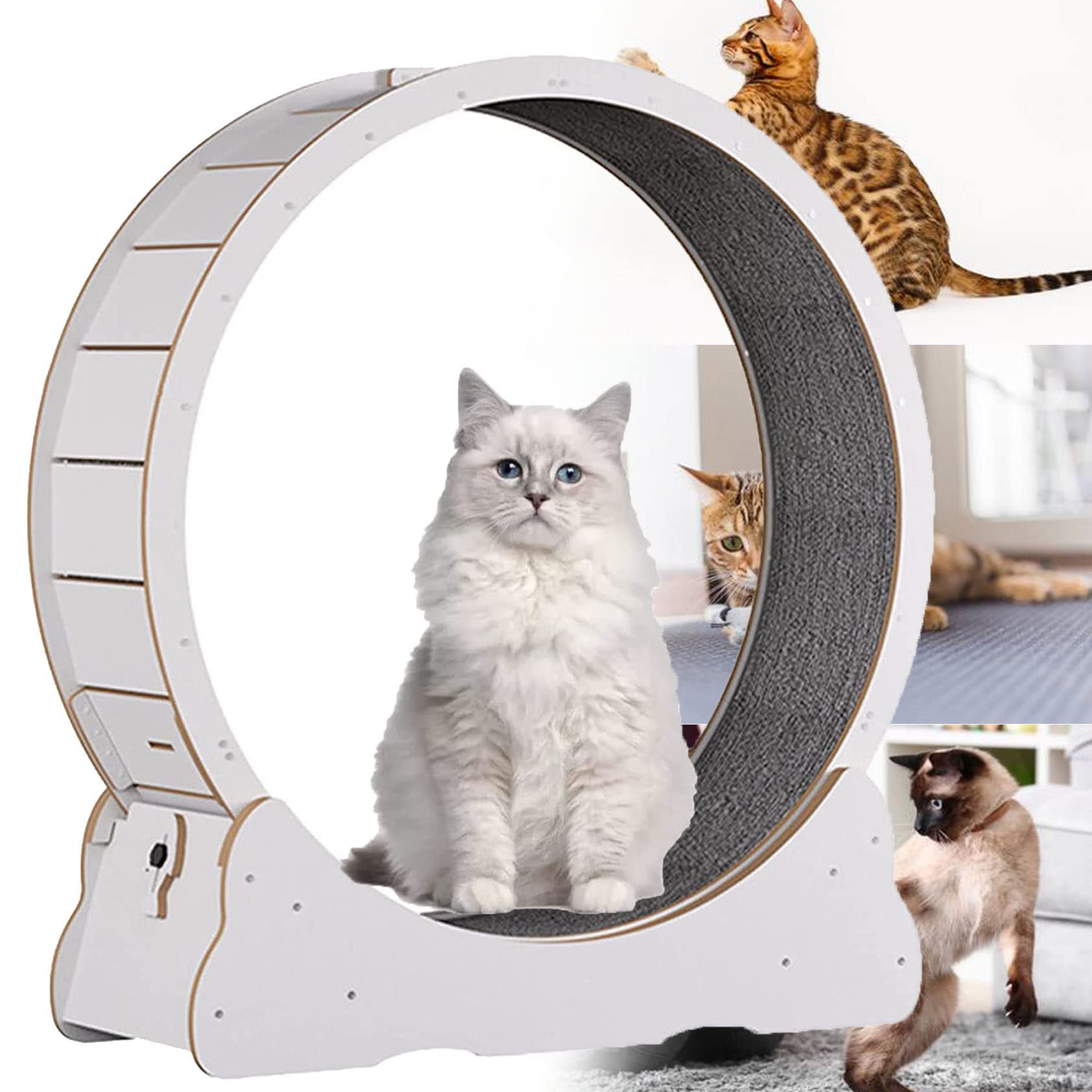 Cinta De Correr para Hacer Ejercicio con Ruedas para Gatos, Juguete Deportivo para Gatos, Rueda De Hámster Silenciosa para Perder Peso Sin Huecos con Dispositivo De Bloqueo,White-S