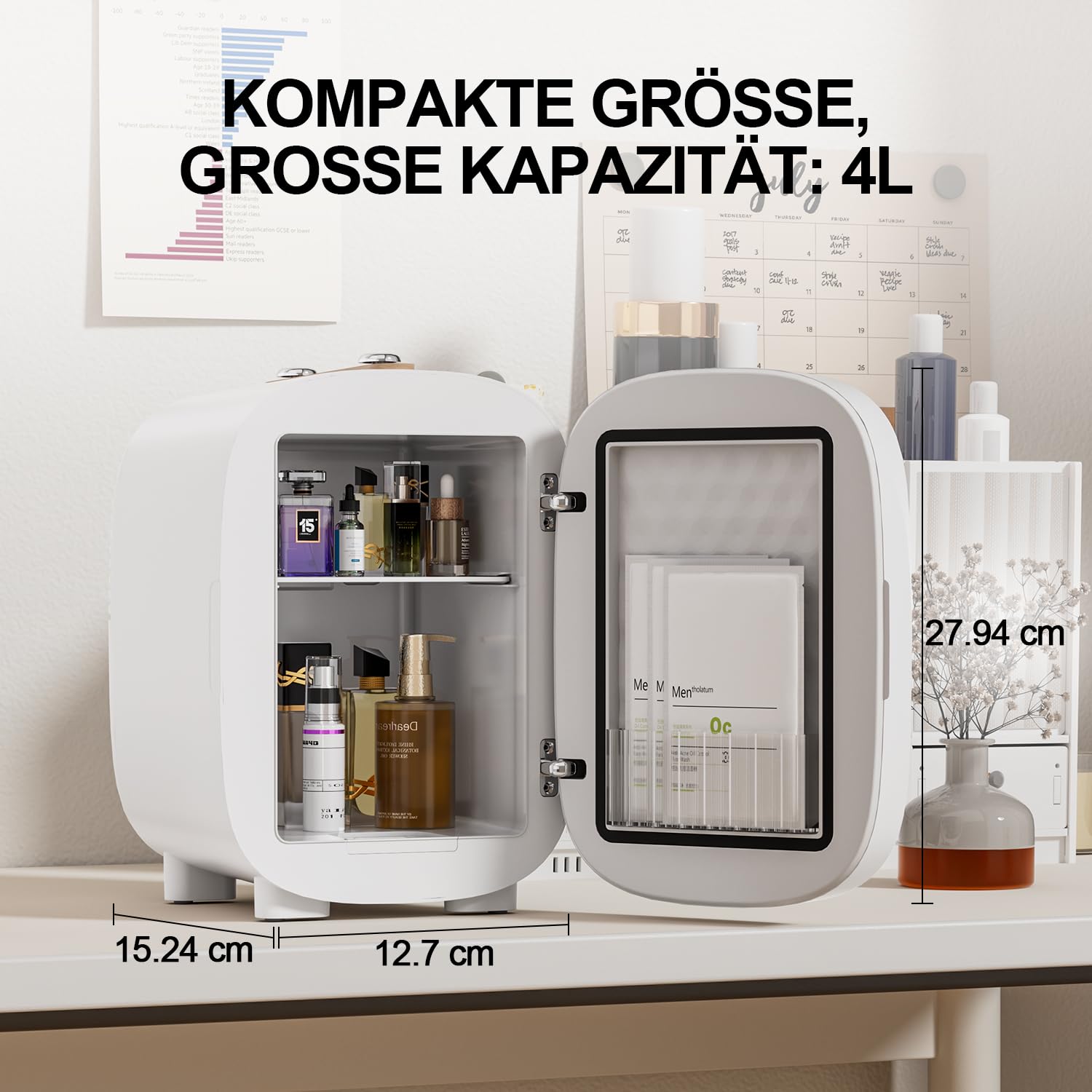 DF01A Mini Kosmetik Kühlschrank, 4L Mini-Kühlschrank mit 3-stufig LED Spiegel, Geräuscharm, Kleiner Hautpflege Kühlschrank mit Kühl- und Heizfunktion, Tragbares Design für Schlafzimmer, Büro und Auto