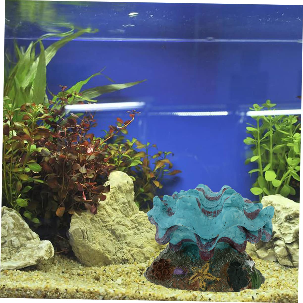 BESPORTBLE 8stücke Dekoration Für Aquarien Lebendige Unterwasserlandschaft Sicherem Für Fischbecken Und Aquariengestaltung