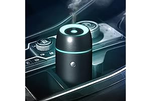 Earnest Living Essential Oil Diffuser Car Air Freshener Humidifier Aromatherapy 100ml Black