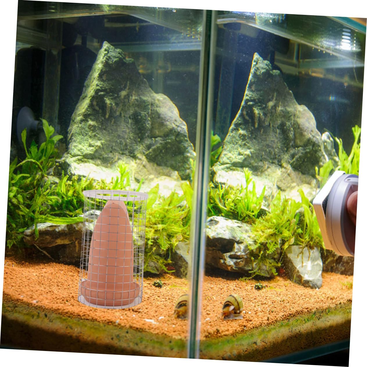WOONEKY Conos Divisor para Ángel de Cerámica de de Peces Camarones Cría y Usar de Pecera Material de Barro y Diseño Fácil de Acuario para Granjas de Cría y Acuarios