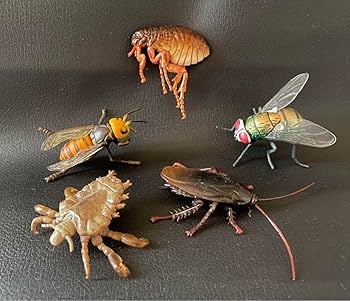 Amazon.co.jp: カプセルQ 衛生害虫博覧会 全5種 : おもちゃ