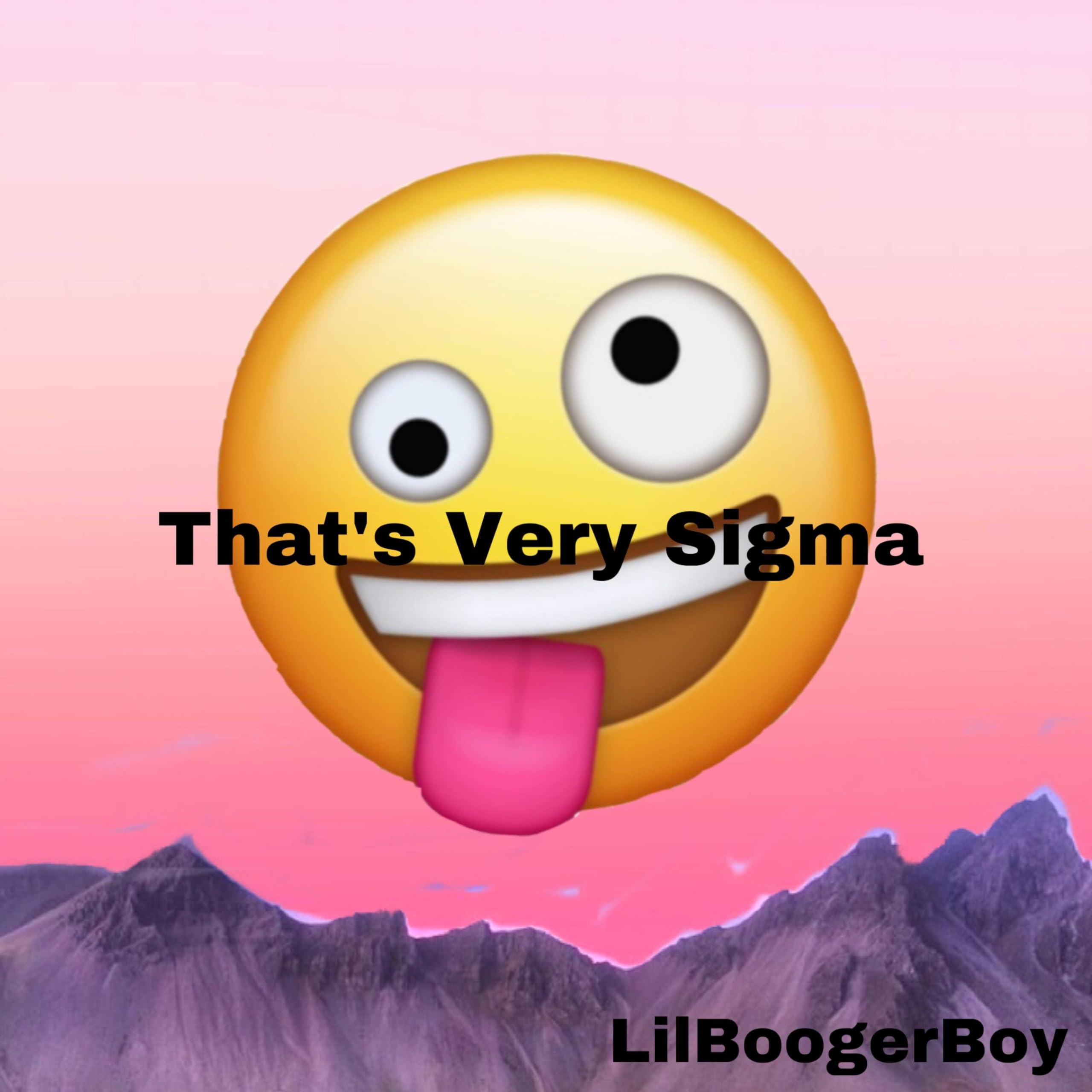 LilBoogerBoy