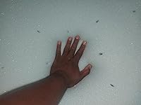 Review Image by DD1550 DD1550