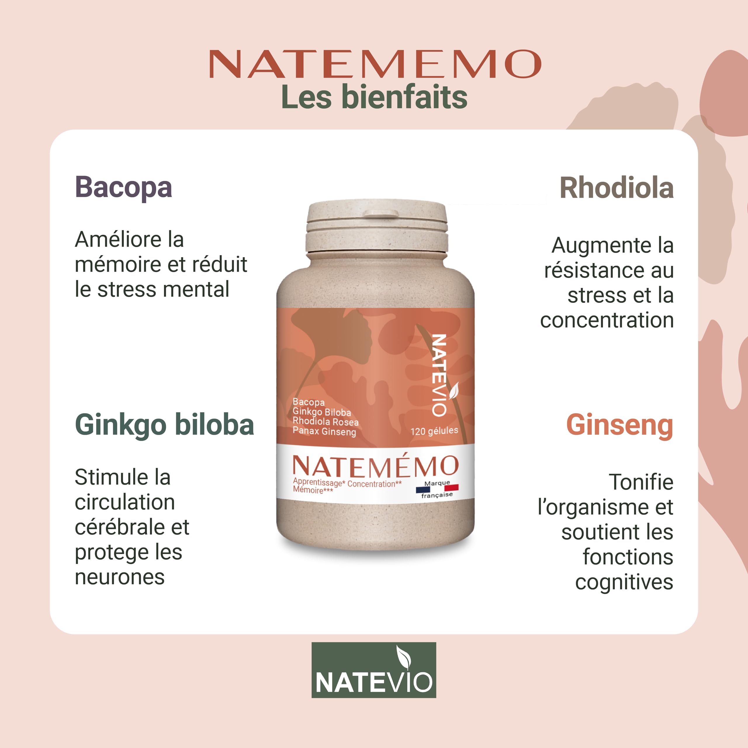 Natemémo – Mémoire & Concentration – Bacopa 500 mg, Ginkgo, Rhodiola, Ginseng – 120 Gélules Végétales – Complément Alimentaire Naturel - Sans Caféine - Made in France