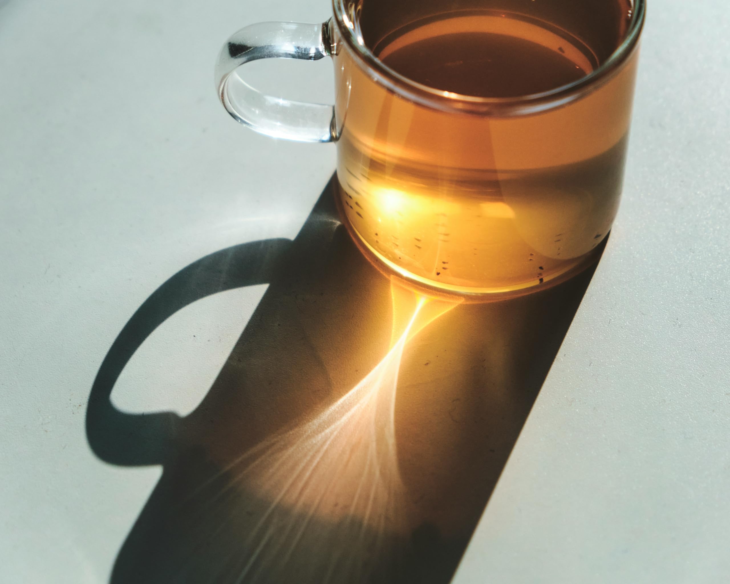 Kamelur Bio Brennnesselsamen ganz -500g- BIO Brennnesselsaaten Kräutertee Brennesselsamen