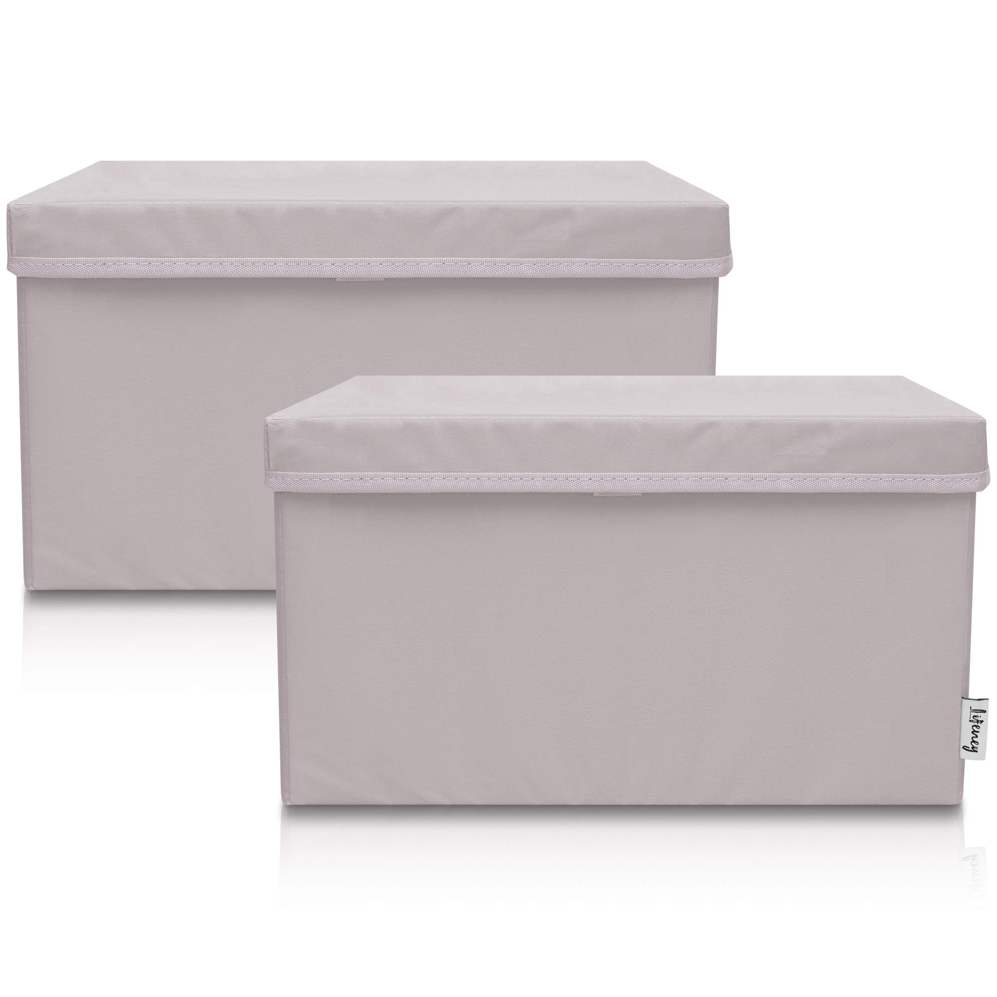 LIFENEY Set of 2 Children's Storage Boxes (37 x 25 x 21 cm) I Storage Basket for Children's Room and Living Area I Children's Storage Box (Light Grey)