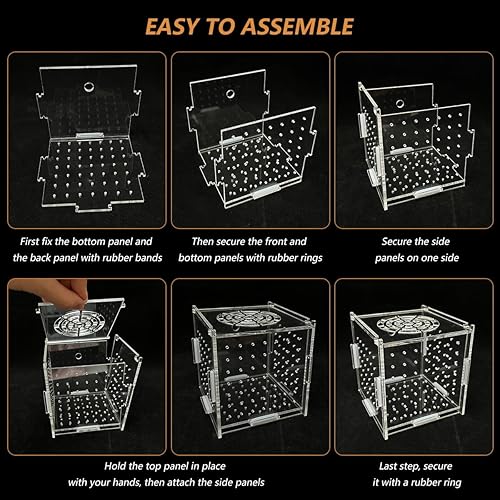 Miniatura 4 de GKPONSX Caja de cría de peces de acrílico, caja de aislamiento de peces transparente, incubadora de incubadora con ventosas para acuario, tanque de