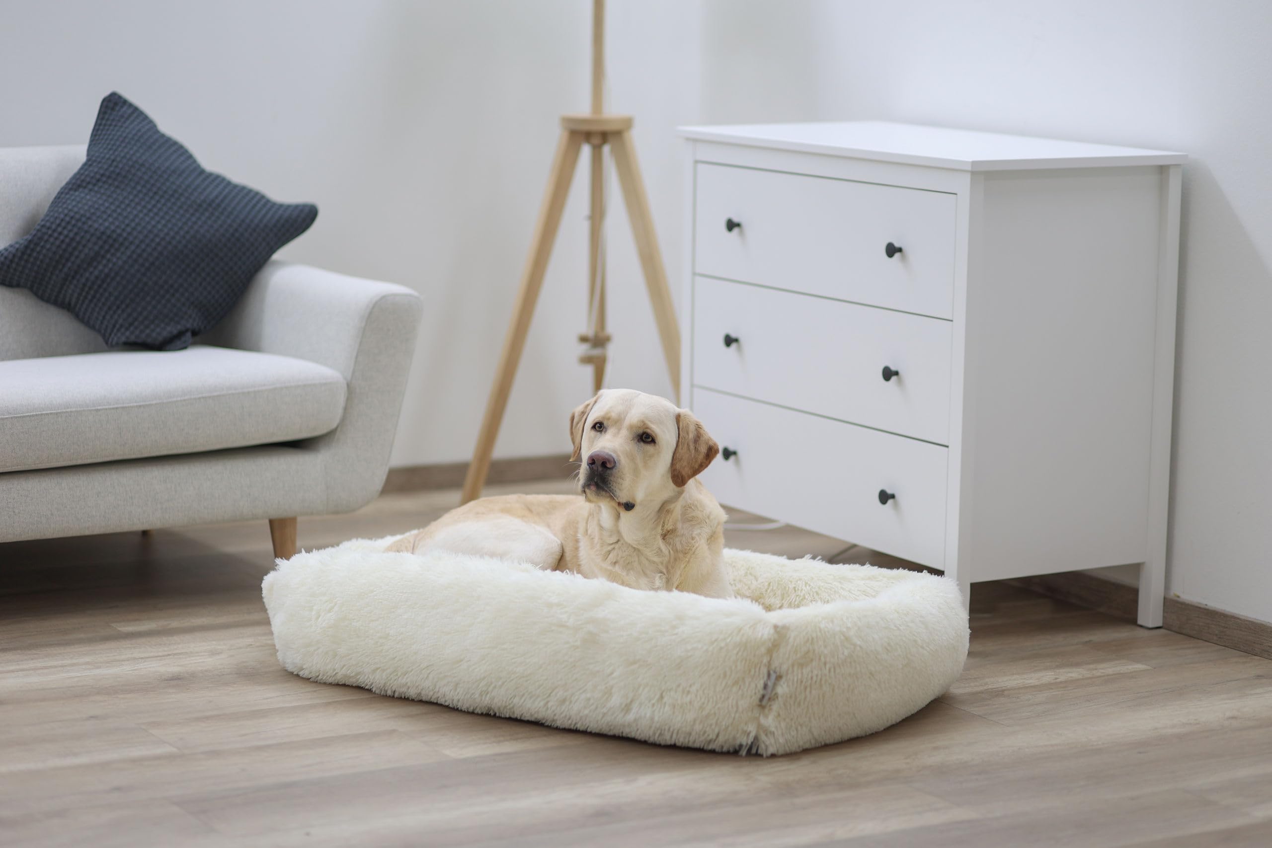 Kerbl Pet lit Douillet Fluffy, lit pour Chien, lit pour Chat, crème, 100x70x22 cm, Polyester, pour Chats, Base antidérapante, Rembourrage Moelleux