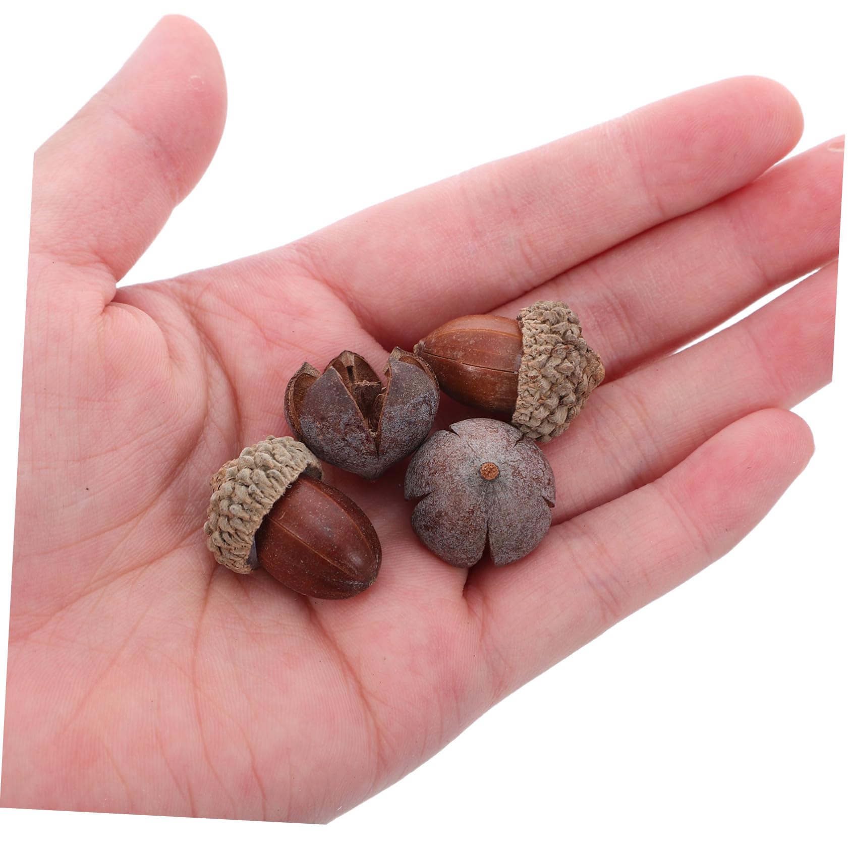 Mini Piñas Naturales para Manualidades DIY Adornos Rústicos para Coronas y Relleno de Jarrones Decoraciones Sostenibles para Navidad y Otoño