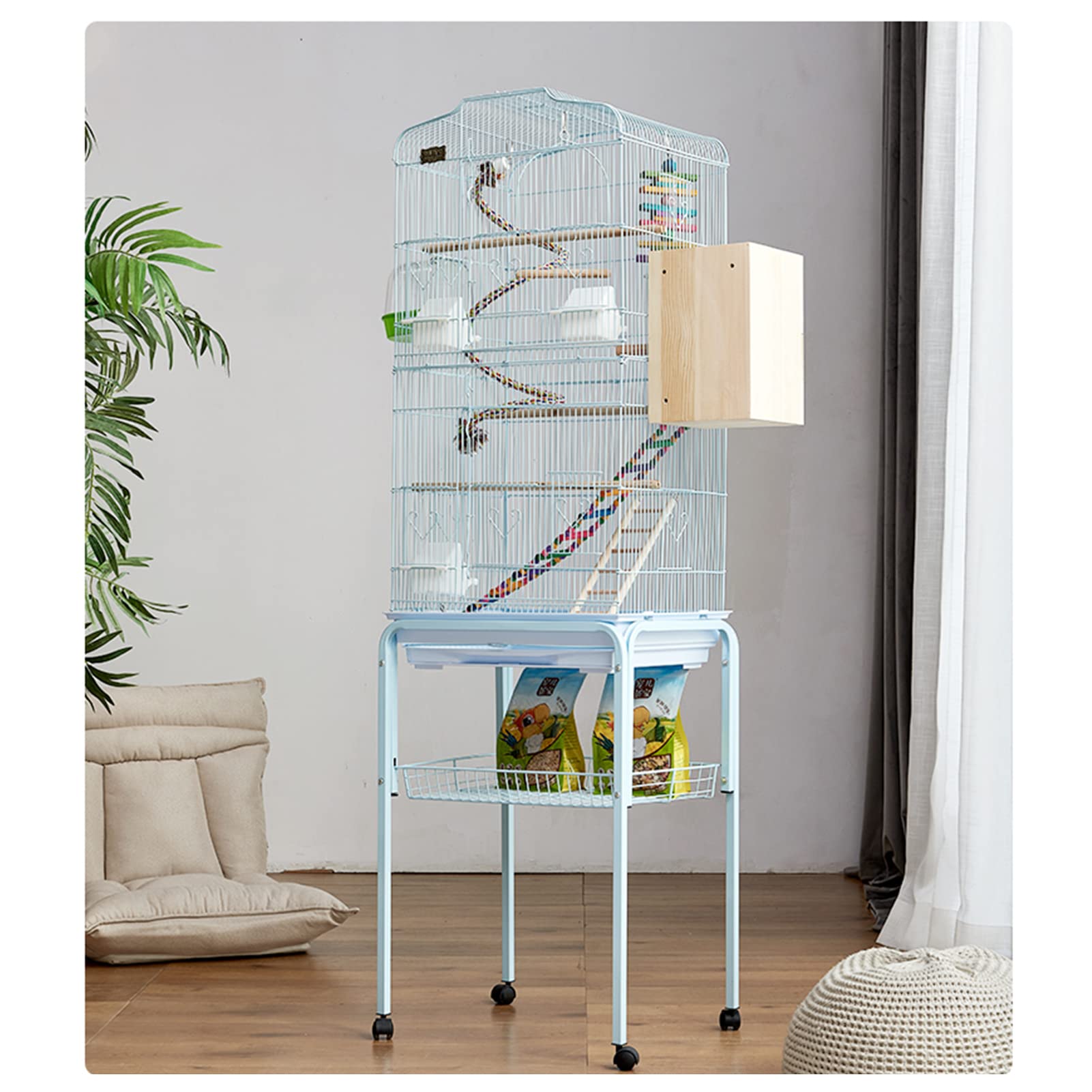 希少サイズ 完品 オウム貝の殻 大小2個セット フタゴヤシ 貝殻パーツ