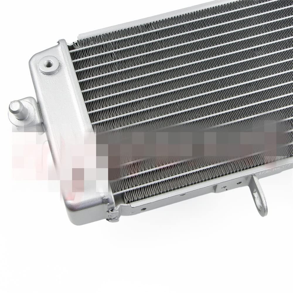 Amazon | ラジエター パーツ スズキ GSX250R 2017-2021