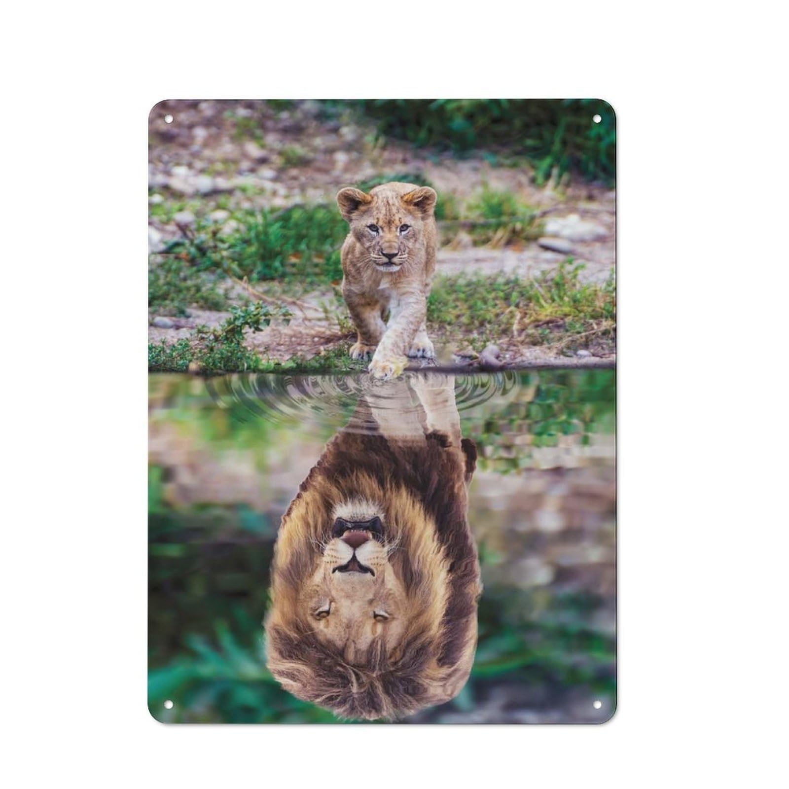 Lion Cub Water Reflection Understated Metal Wall Decor 40x30cm, Office Metal Sign for Office, Study, Studio Or Hallway
