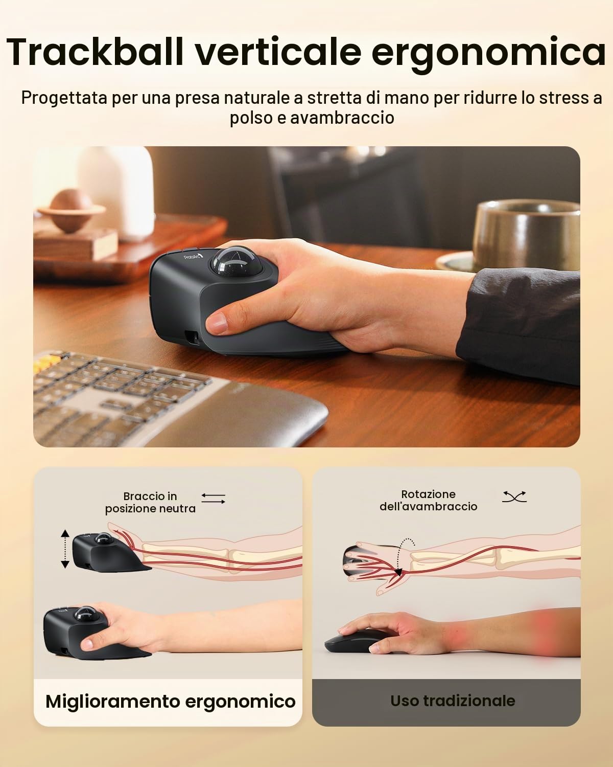 ProtoArc EM05 NL Mouse trackball verticale senza fili, mouse ergonomico con Bluetooth, ricaricabile, per computer portatile, connessione a 3 dispositivi, compatibile con iPad, Mac, Windows, PC, grigio