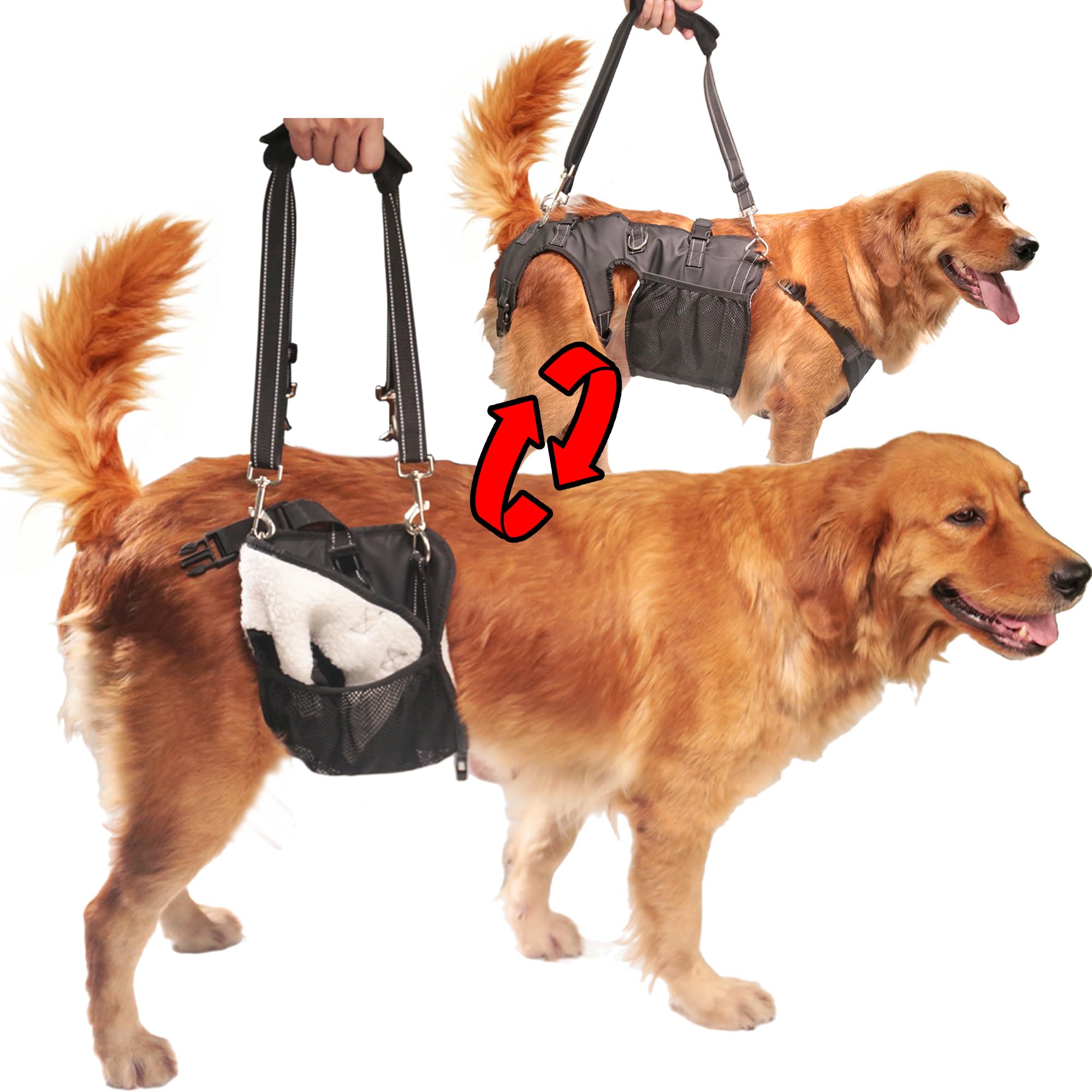 Dual-use Dog Lift Rehab Hareness Canine Sling for Large Pooch Rear Legs and Hip Support,Adjustable and Soft Brace Strap for After ACL Surgery, Helps Senior, Injured and Disabled K9.