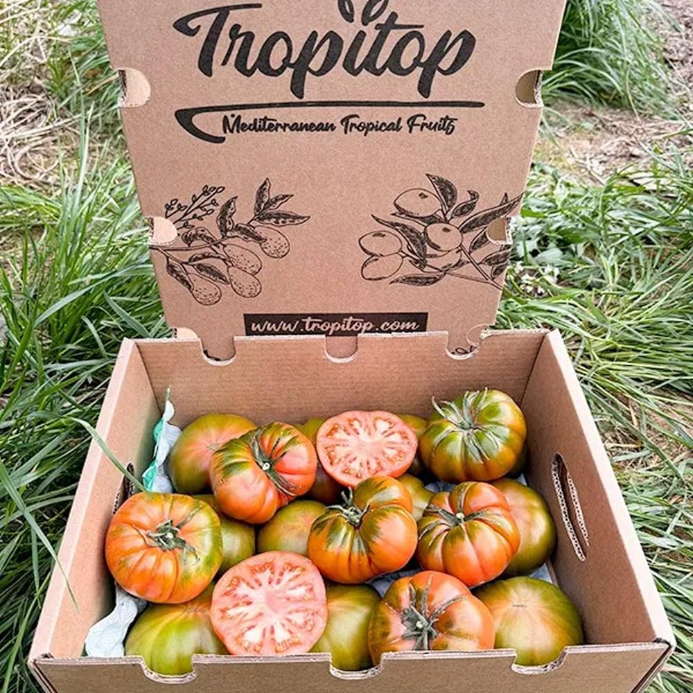 Tomate Raf | Comprar los mejores tomates Raf de temporada, frescos, de sabor único y cultivados de forma sostenible en España, directos del agricultor a tu mesa (4 Kg) — view 2