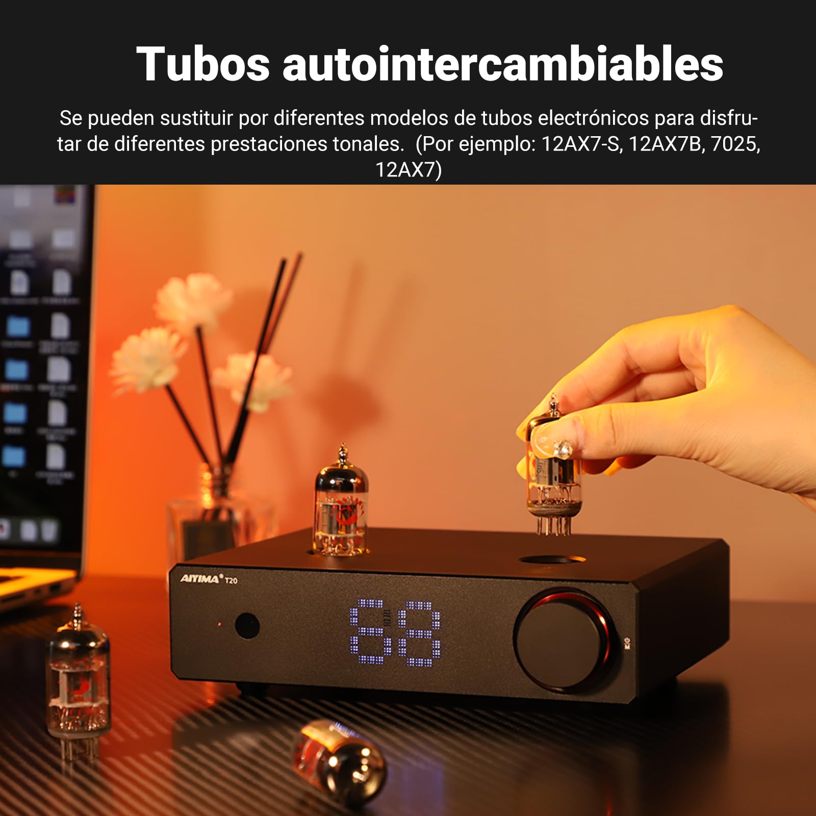 AIYIMA T20 Preamplificador de válvulas Totalmente balanceado LME49720 para HiFi Home Audio Preamplificador de minitubos de vacío con entradas y Salidas RCA y XLR y Salida de Disparo de 12 V