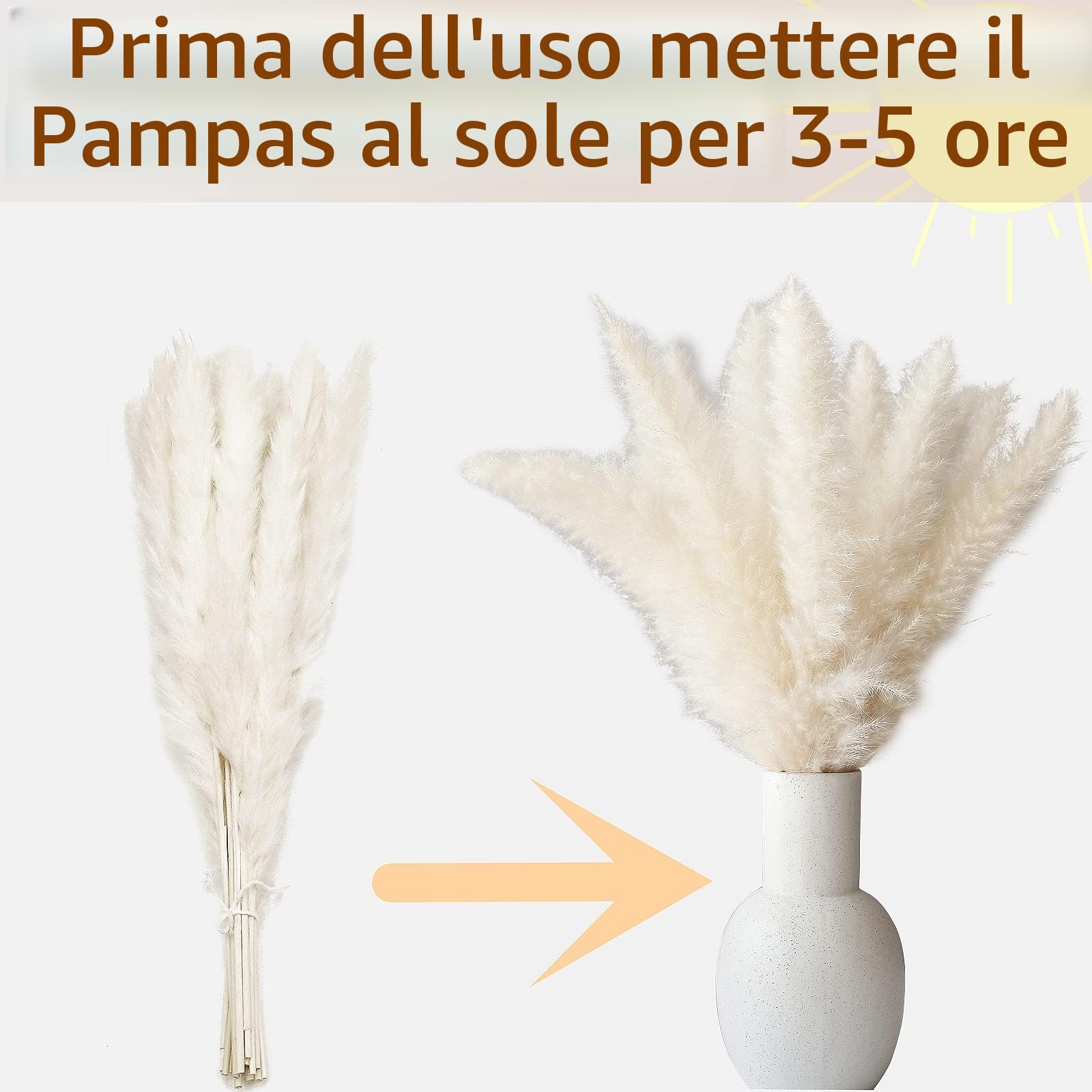 Bouquet di Erba di Pampas Secca 125 Pezzi, Fiori Secchi di Coda di Coniglio, Decorazione Boho per Matrimoni e Casa