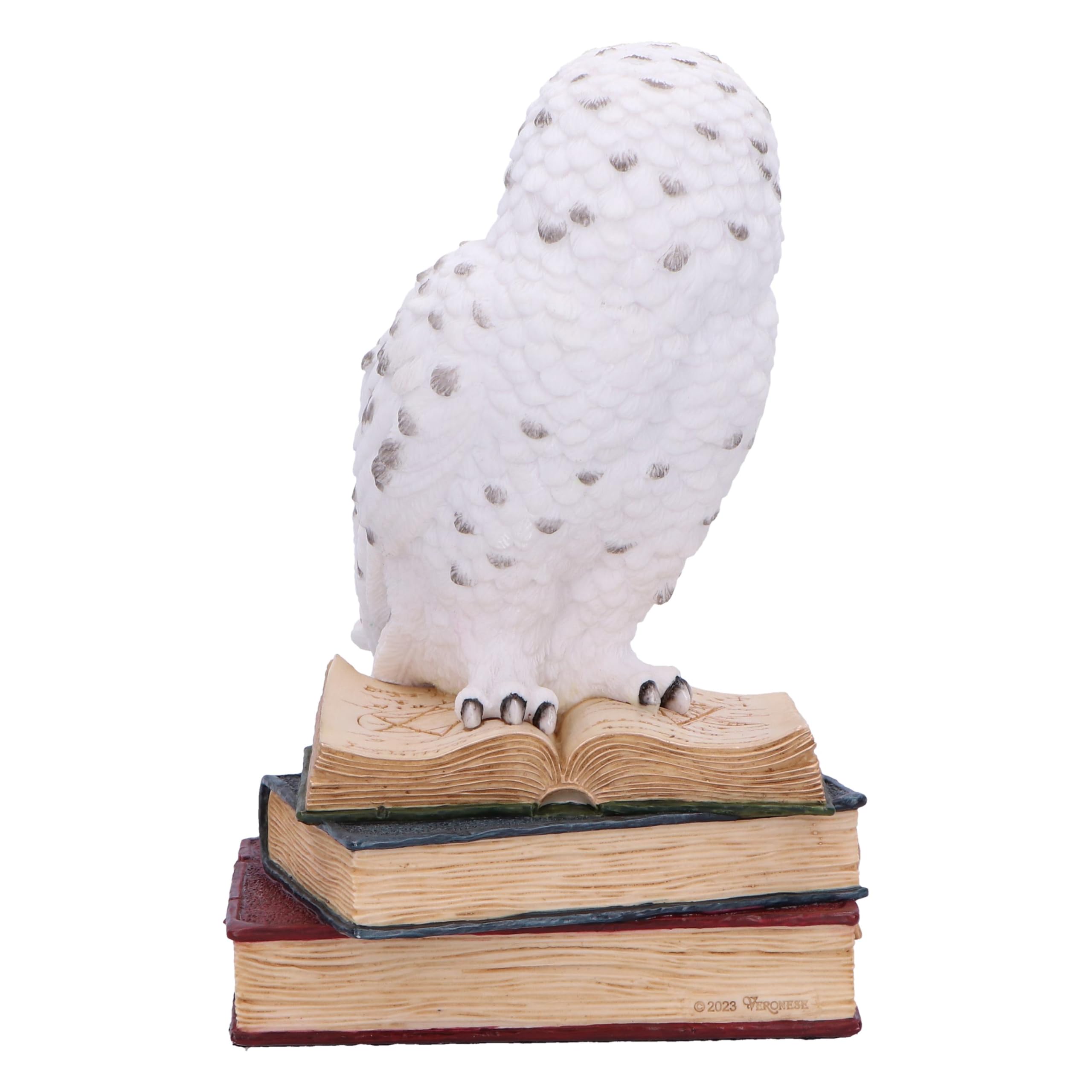 Nemesis Now Statuetta della Biblioteca della saggezza, 17 cm, in resina, bianca, gufo bianco su libri, ornamento per libri fantasy, espositore per libri, colata nella migliore resina, sapientemente