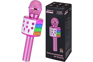 4 Year Old Girl Birthday Gifts: ZZLWan Microphone for Kids
