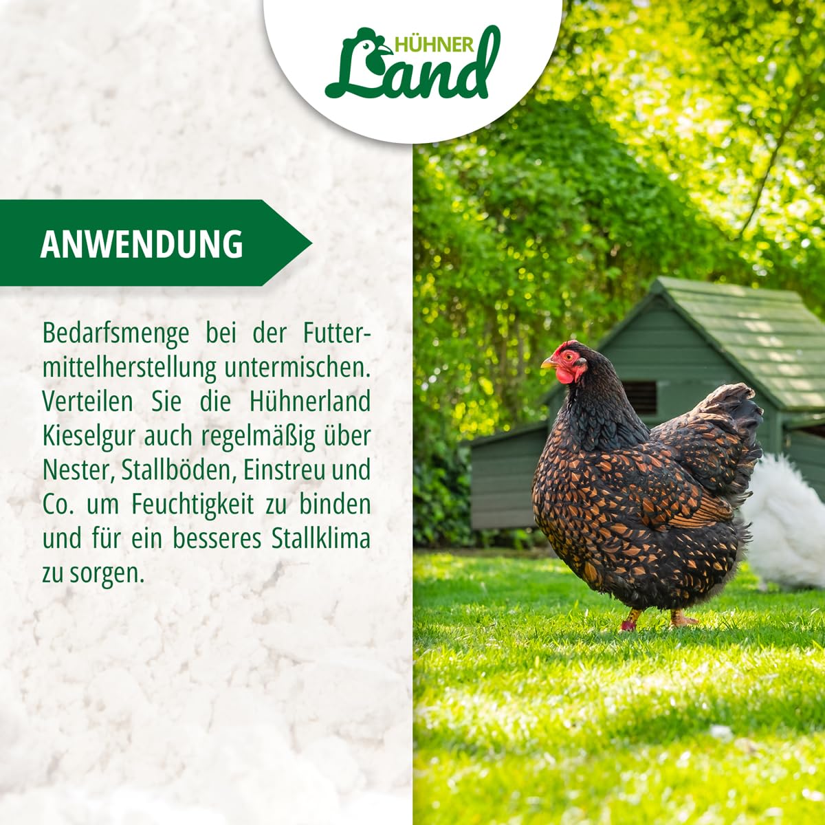 HÜHNER Land Kieselgur für Hühner 4,3kg INKLUSIVE Pulverzerstäuber - Reines Kieselgur Hühner Pulver, Kieselerde Pulver, Naturprodukt für Hühnerstall, Laborgeprüft für Geflügel Betriebe