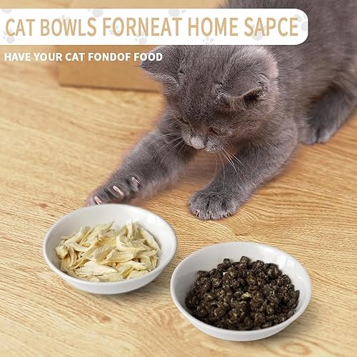 Miniatura 3 de HAPPY KIT 2 piezas Cuencos Pequeños para Gatos, Cuenco de Comida para Gatos de 5 Pulgadas para Gatos de Interior, Lindo Juego de Platos/Plato/Platos