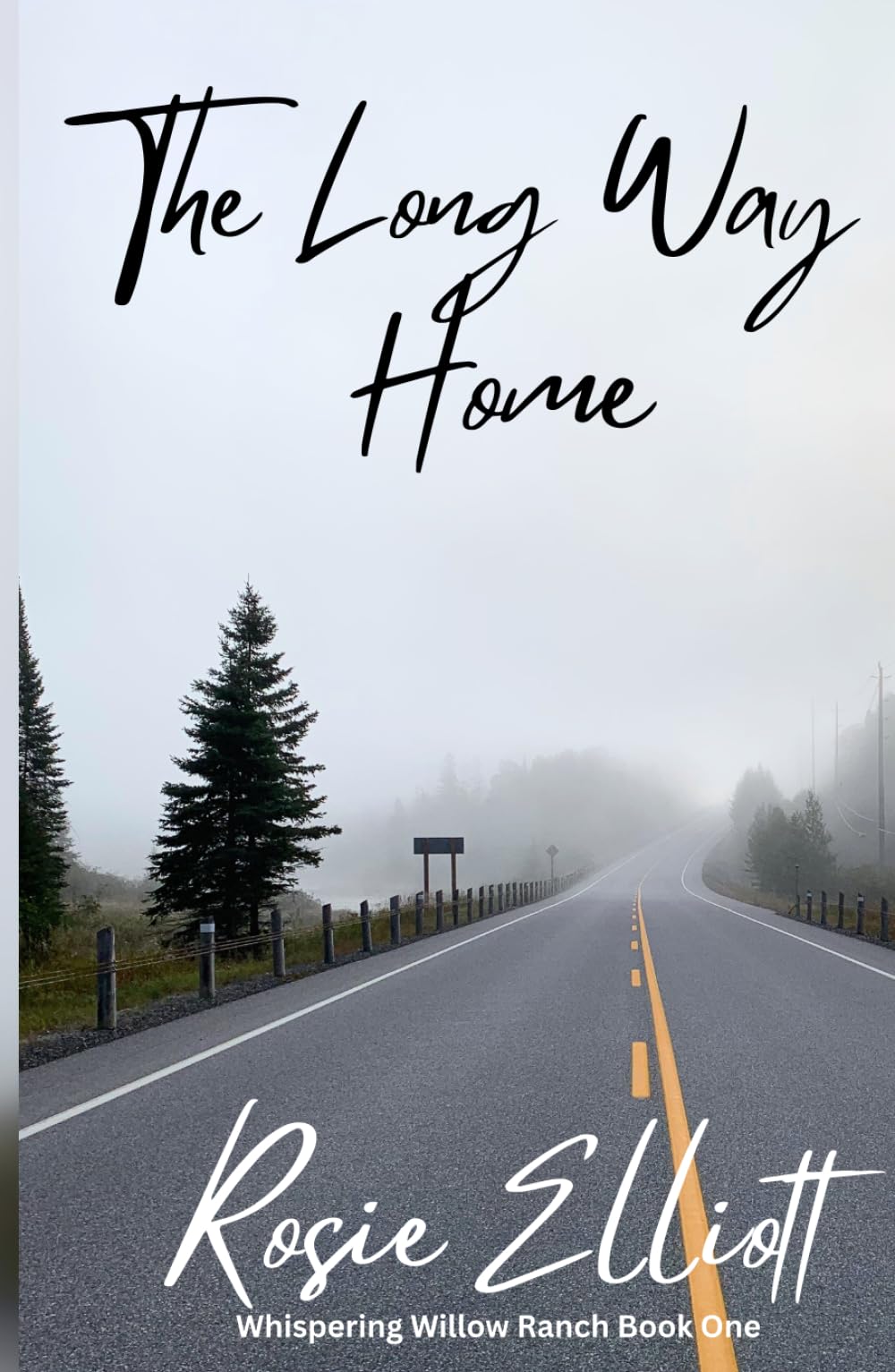 The Long Way Home (Whispering Willow Ranch)