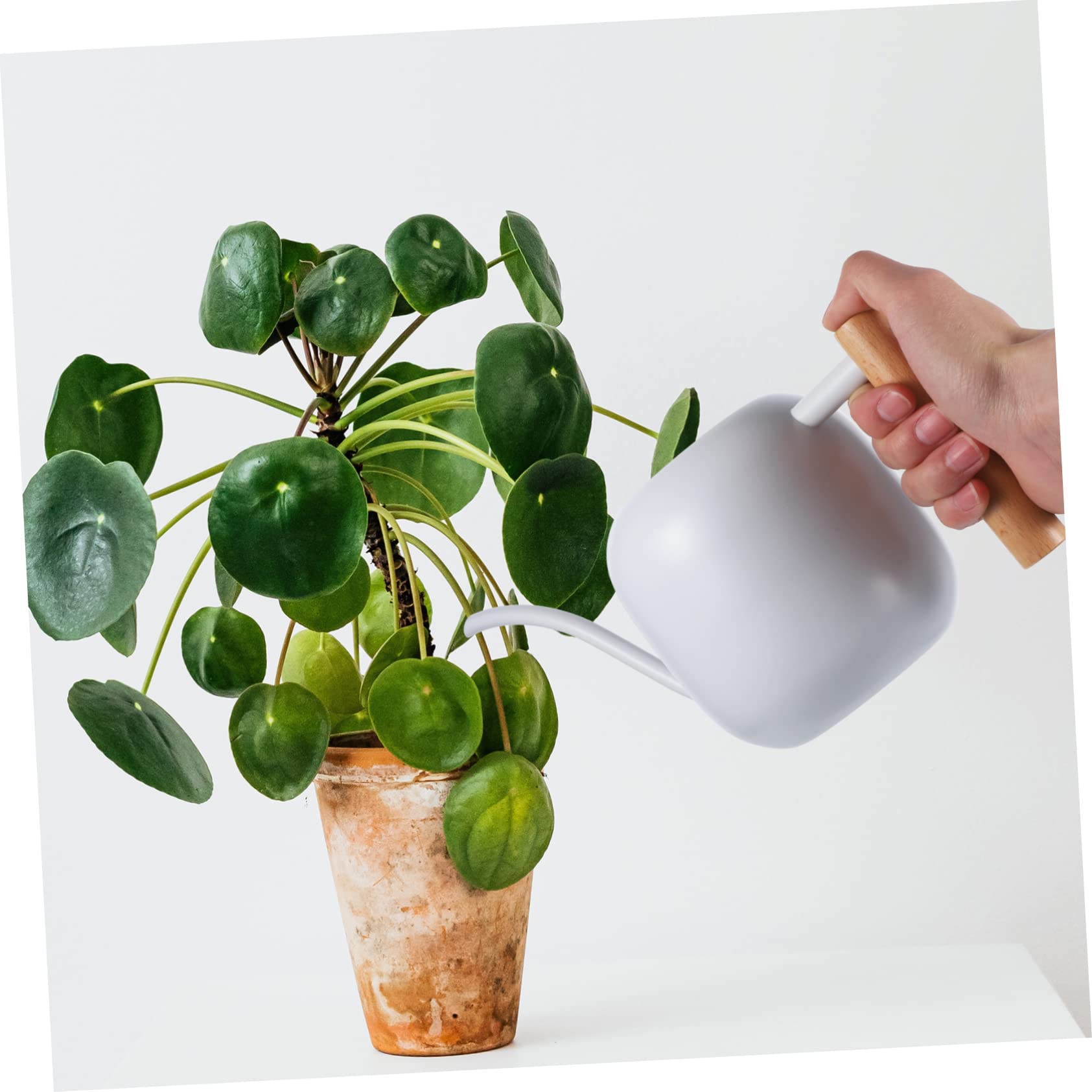 Toyvian arrosoir à Long Bec Buse Outil Usine arrosoir arroseur arrosoir Plantes d'intérieur arrosoir de Chalet arrosoir Moderne arrosoir pulvérisateur Acier Inoxydable Blanche