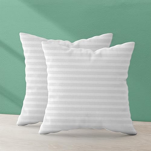 Trendy Home - Relleno de almohada de 22 x 22 pulgadas, relleno de funda de cojín, hipoalergénico, decorativo, para el hogar, al aire libre, sofá