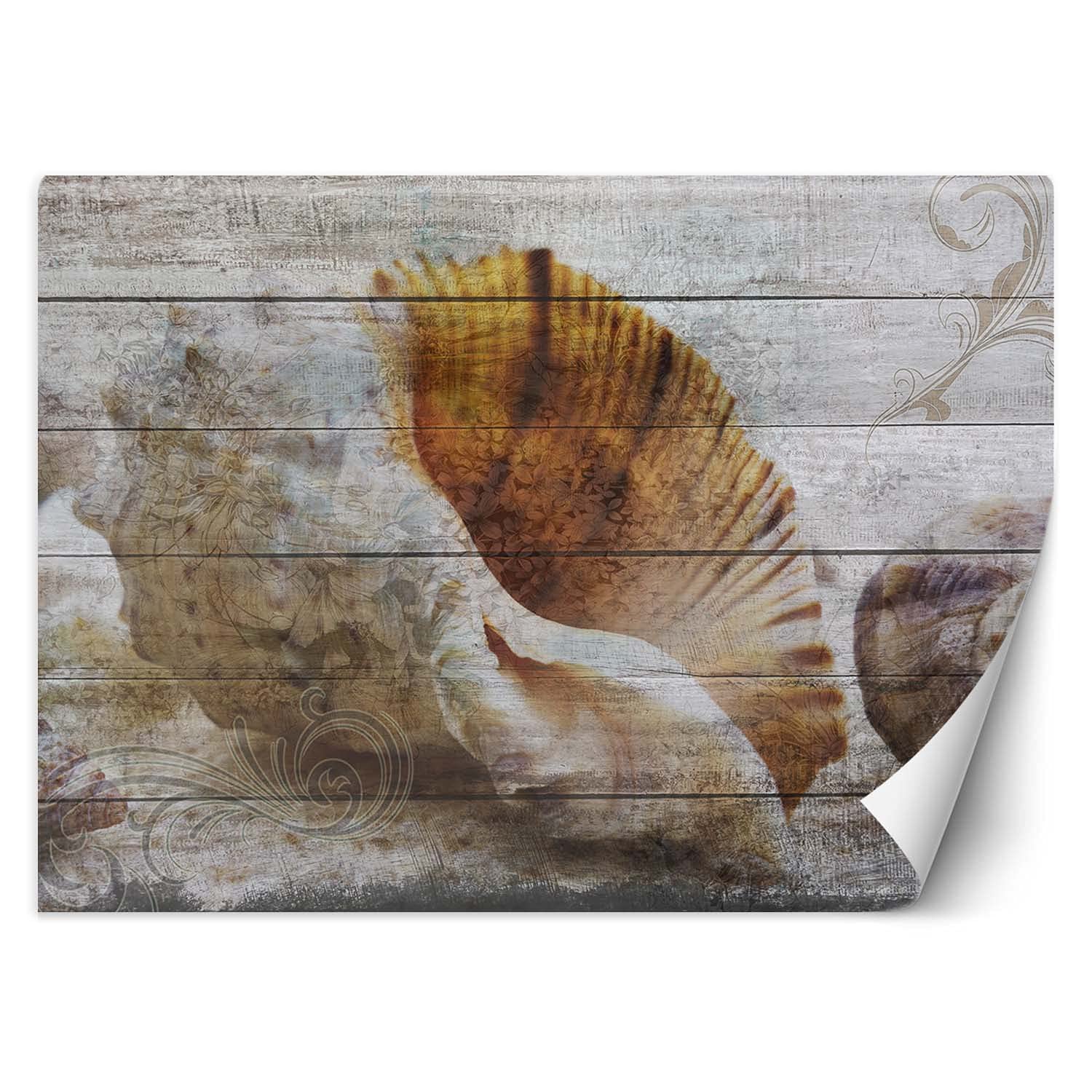 Feeby Fototapeta Flizelinowa Muszle Kwiaty 368x254 cm Beżowy Tapeta XXL Dekroacja Ścienna Sypialnia Pokój Dzienny Biuro Kuchnia Korytarz Pokój Dziecka Zdobienia Imitacja Drewna