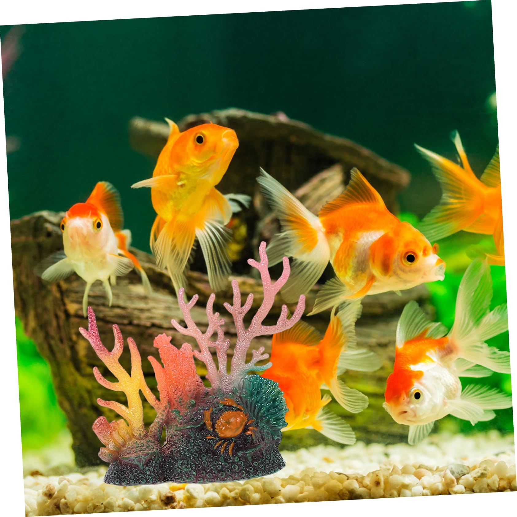 BESPORTBLE Knstliche Korallen Ornament 2 Stck Kunststoff Deko Fr Aquarium  Swasser Und Meerwasser Fischaquarium Dekoration Geschenk: Amazon.de:  Haustier