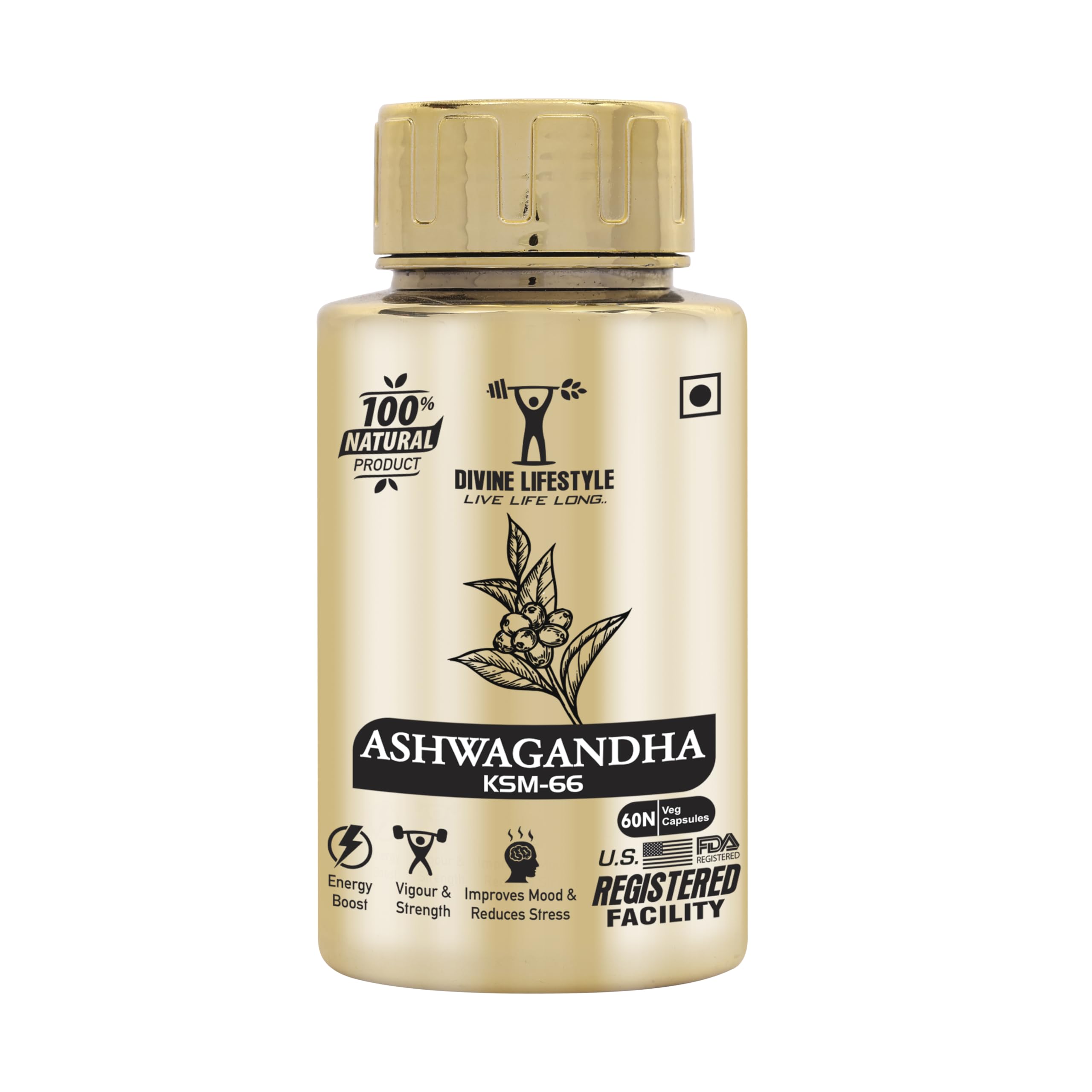 DIVINE LIFESTYLE Ayurvedic Ashwagandha Capsules 500mg May Boost Muscle Mass & Strength and Support Build Performance & Strength by Sahil Khan 60 Capsules (B0BMQ65RDQ) Amazon Price History, Amazon Price Tracker