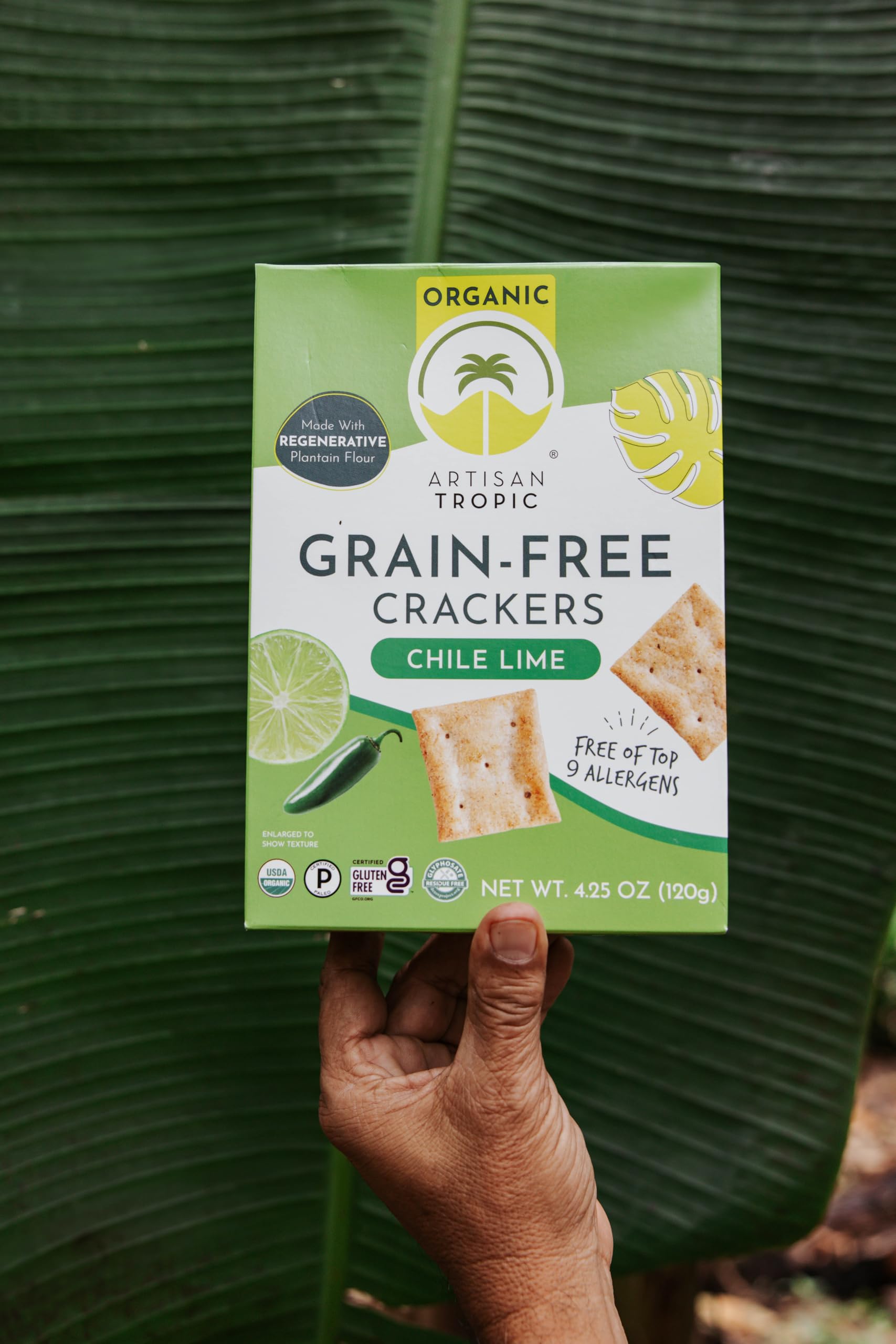 Amazon.com: Artisan Tropic Chile Lime Organic Crackers, Gluten