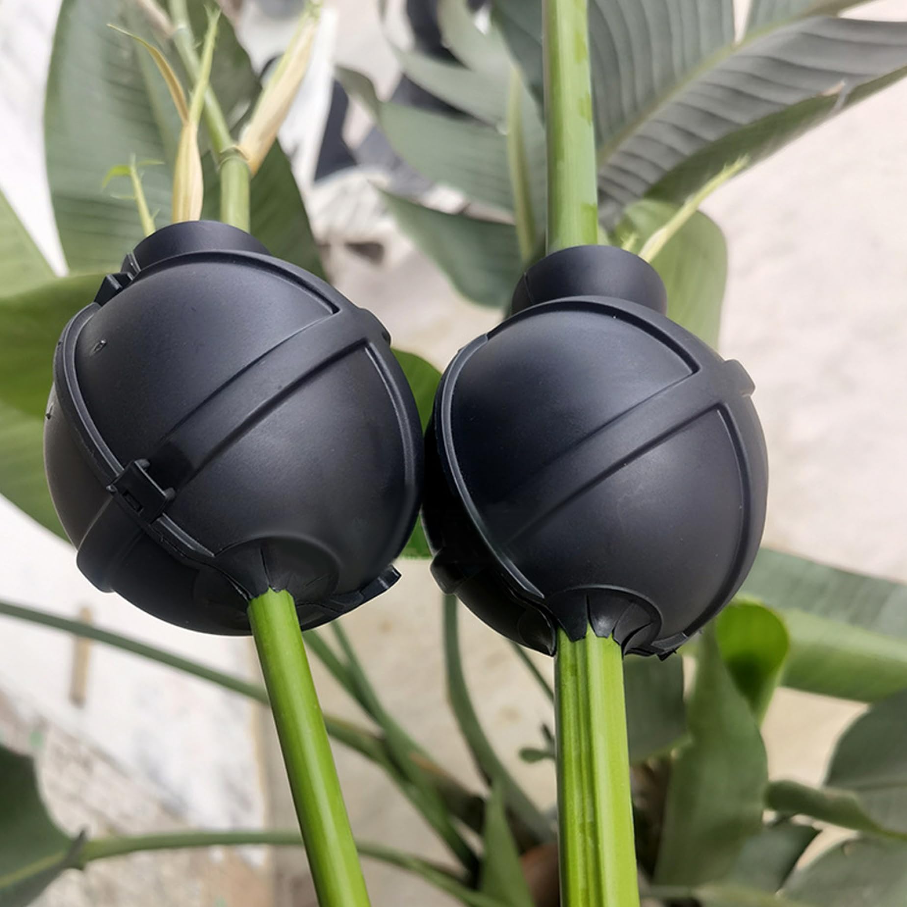 Vainas de de Aire, 20 Piezas, Bola de injerto de 3, 15 Pulgadas para Ramas de 0, 8-2cm, Bola de enraizamiento de Plantas autoblocante ventilada para jardinería