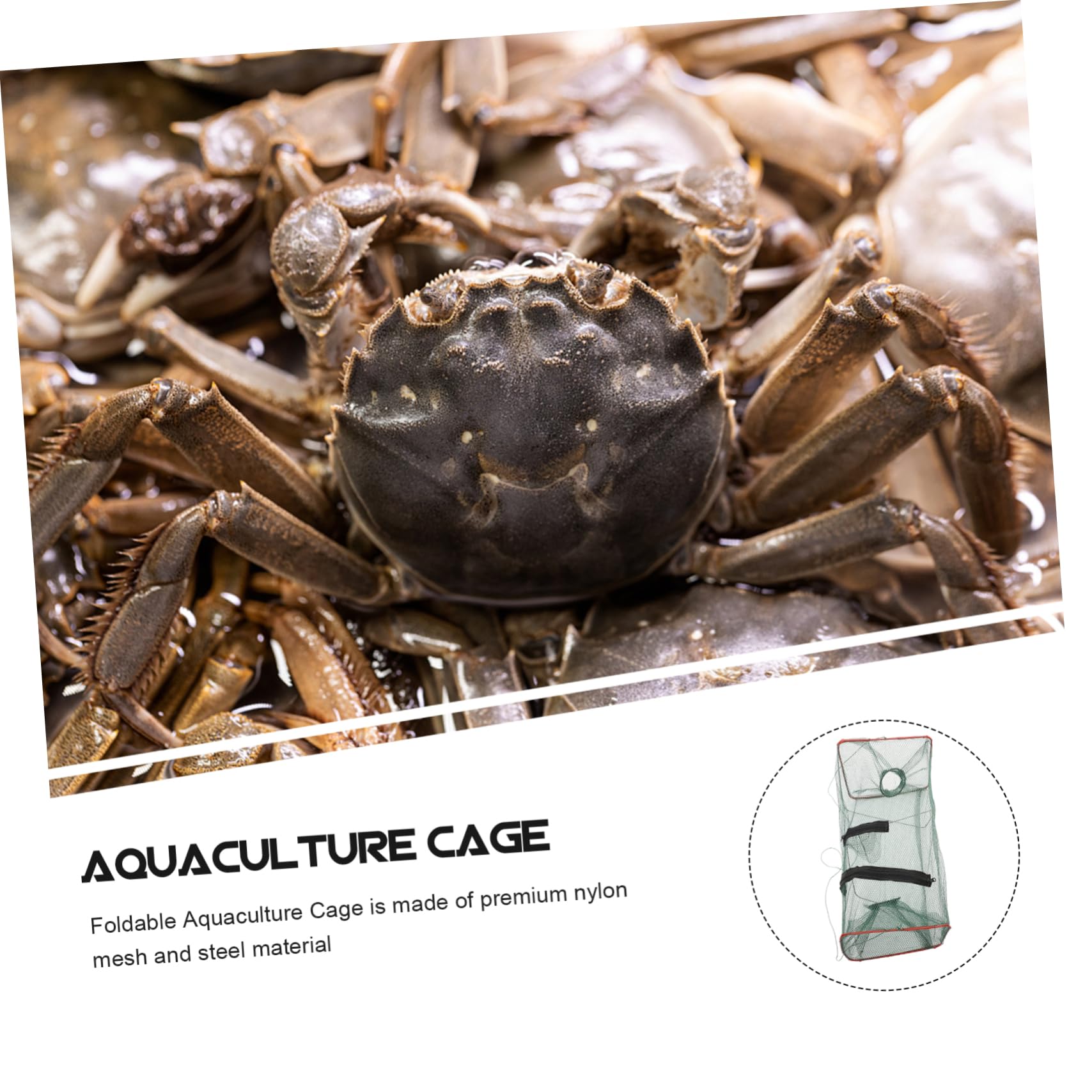 Jaula Rectangular Plegable para Peces 10 Unidades de Nailon