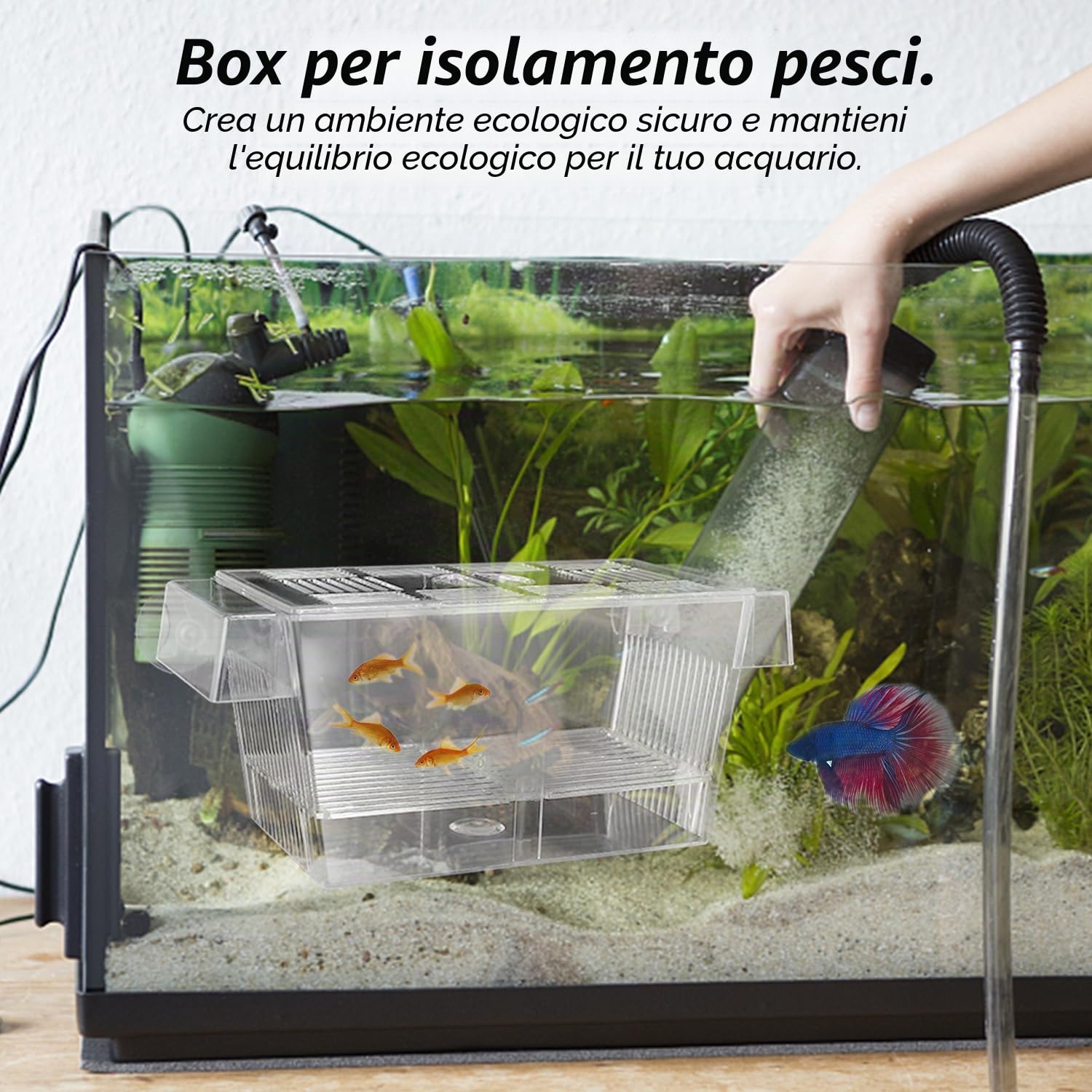 Scatola di isolamento trasparente a doppio strato, multifunzionale, galleggiante, con ventosa, per la cura di pesci piccoli nell'acquario, 12,6 x 7 x 7 cm