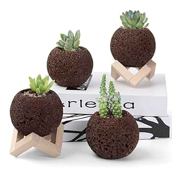 山渓鉢　石付き　溶岩石　雲山石　植木鉢　多肉植物　サボテン　一点物　盆栽 山渓鉢 石付き 溶岩石 雲山石 植木鉢 多肉植物 サボテン 一点物 盆栽