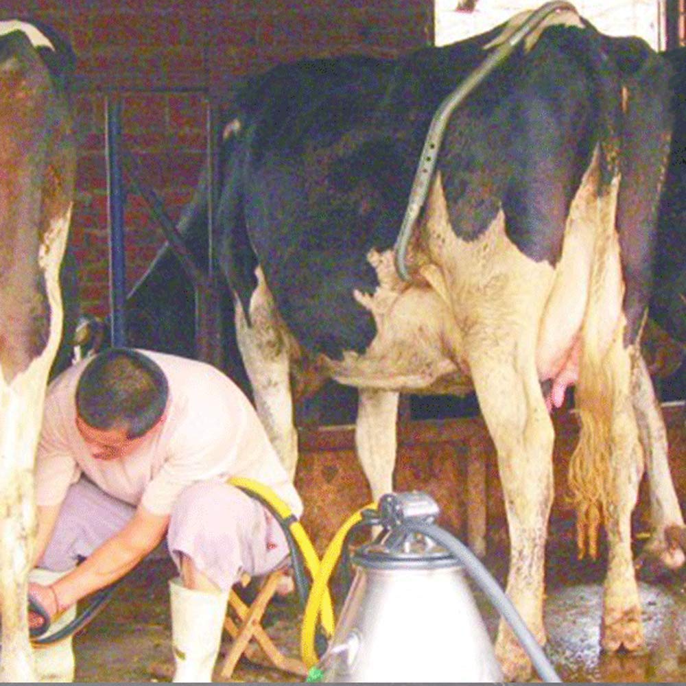 Toyvian Barre Coup De Pied Acier Inoxydable Épaisse Tige