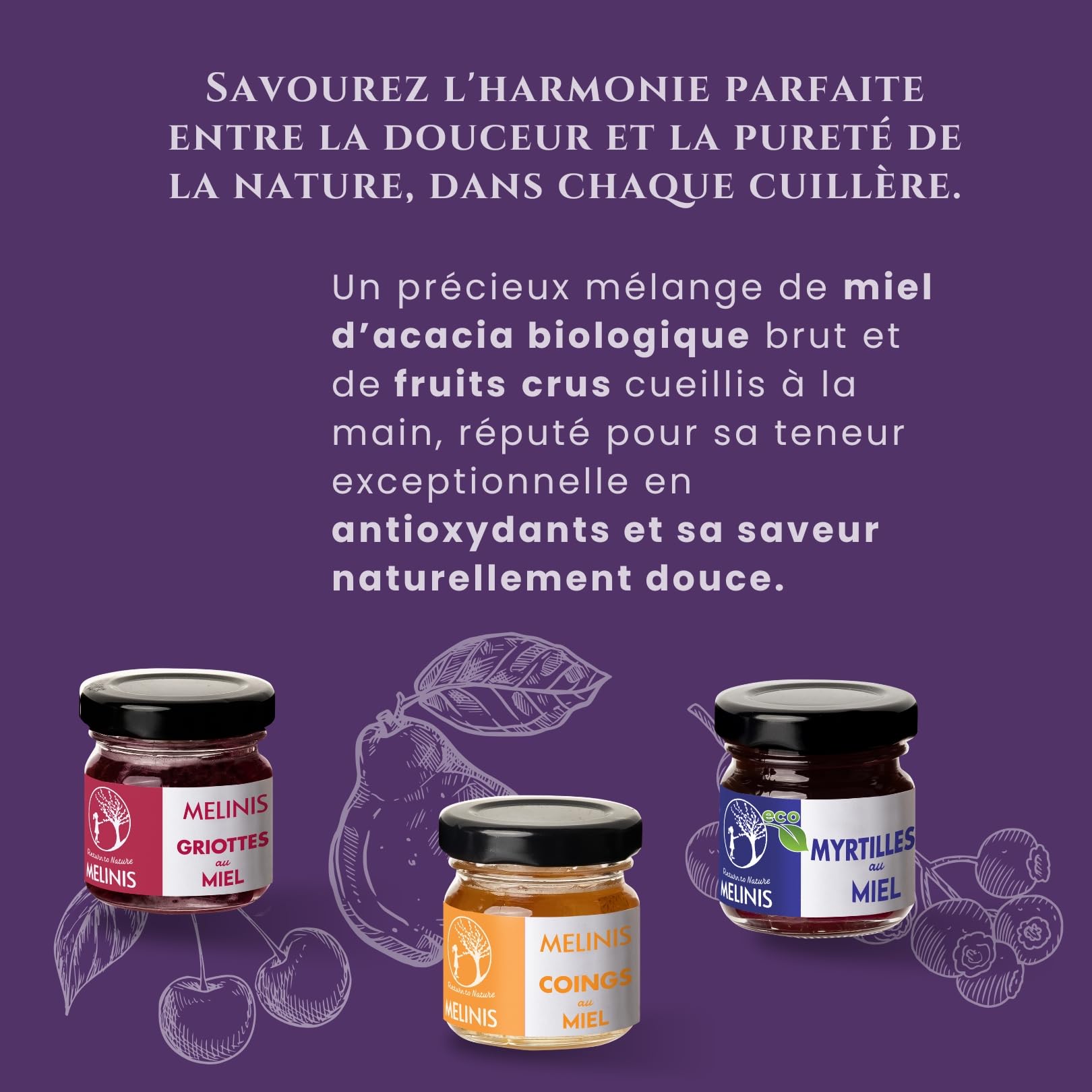 Coffret Dégustation 3 × 40 g – Miel Bio Tartinable aux Myrtilles, Coings Bereczki et Griottes – Sans Sucre Ajouté – Tartinables Naturels pour Petit-Déjeuner, Snacks et Cadeau Gourmet – Melinis