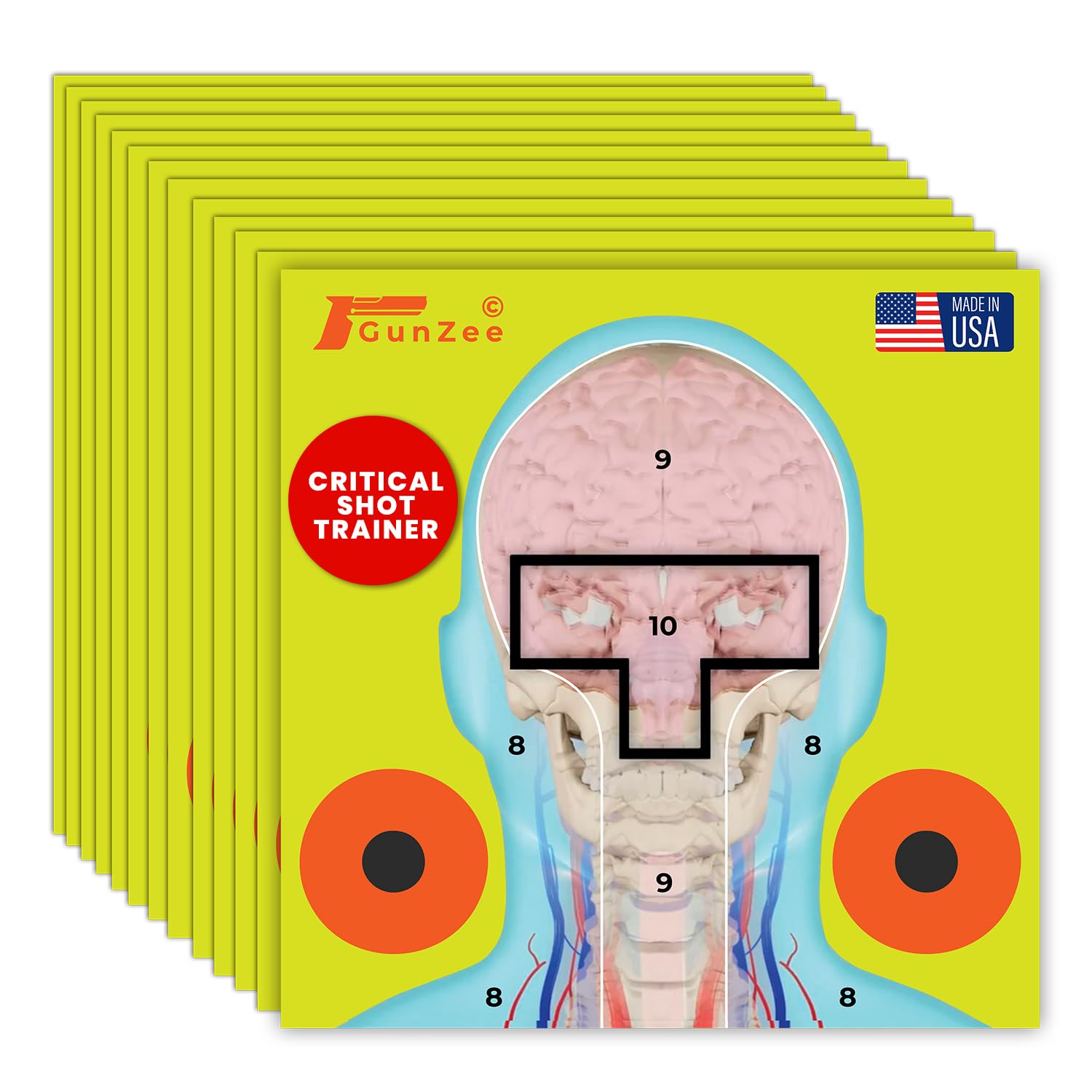 GunZee Anatomical Shooting Targets, Paper Anatomy Targets for Shooting Range, Ideal for Handgun, Airsoft Pistol, Rifle, BB Gun, Pellet Gun Practice, Tactical &amp; Self-Defense Training