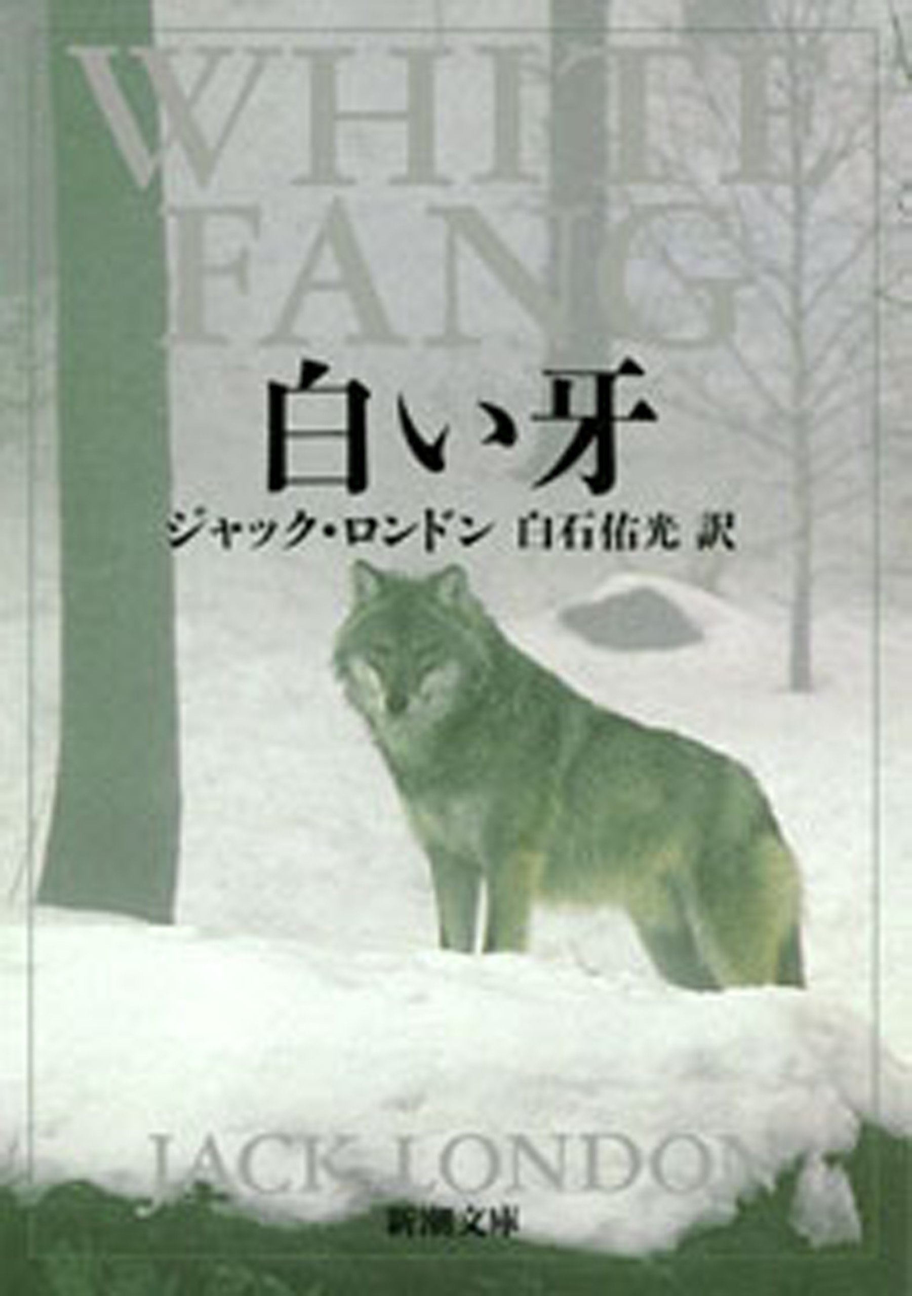 Amazon.co.jp: ジャック・ロンドン: 本、バイオグラフィー、最新