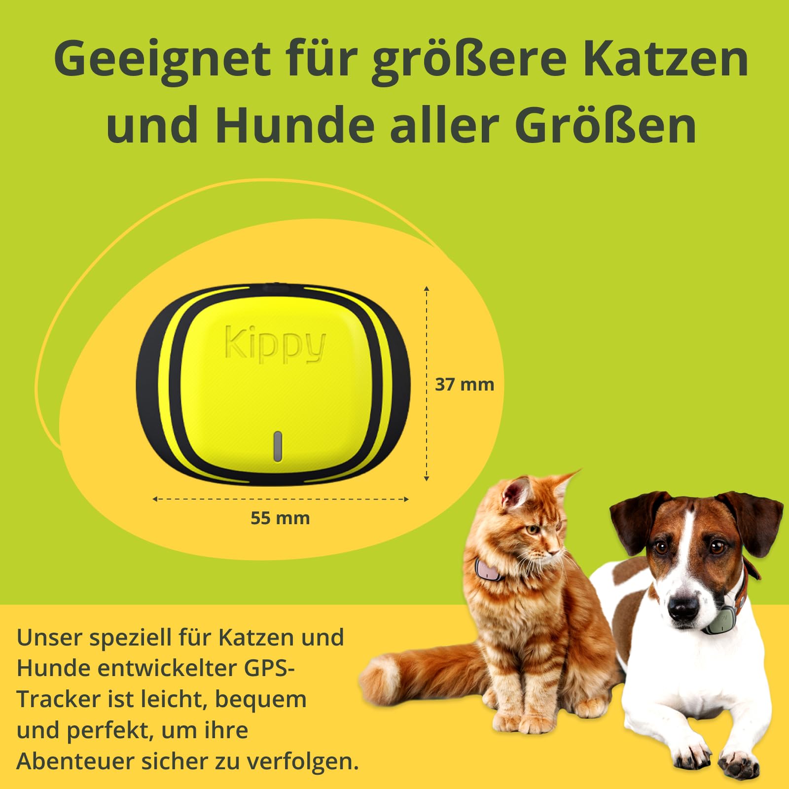Kippy CAT: seguimiento de actividad GPS para gatos | Kippy