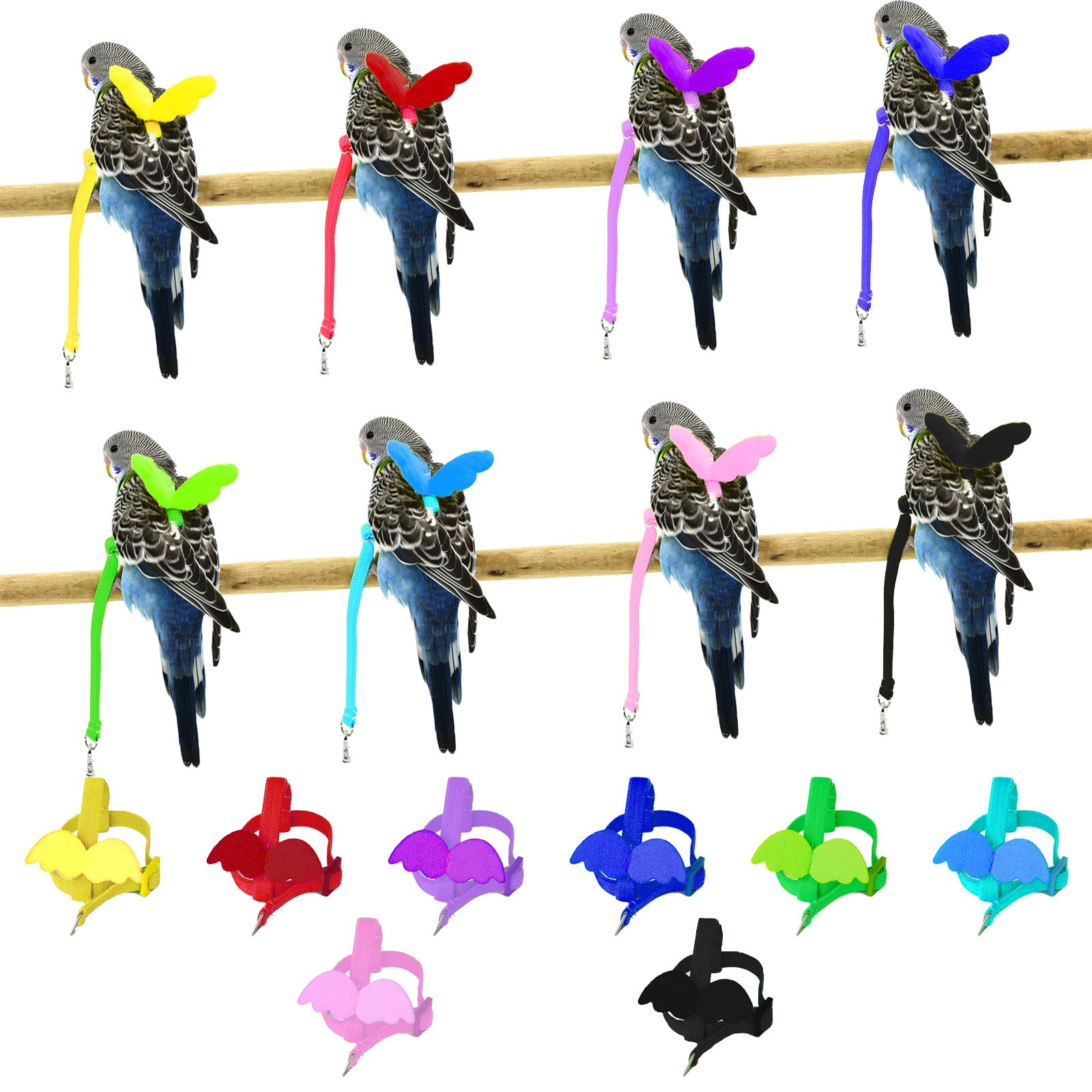 Pet Parrot Bird Pettorina e guinzaglio per cani - Design di addestramento regolabile - Anti-morso - Corda in nylon con adorabile ala per pappagalli - Adatto per Alexandrine, Scarlet, Keck