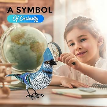 Amazon.co.jp: ブルージェイバード装飾 美しい裏庭&庭のギフト Amazon.co.jp: ブルージェイバード装飾 美しい裏庭&庭のギフト